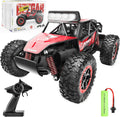 Bezgar RC Buggy
