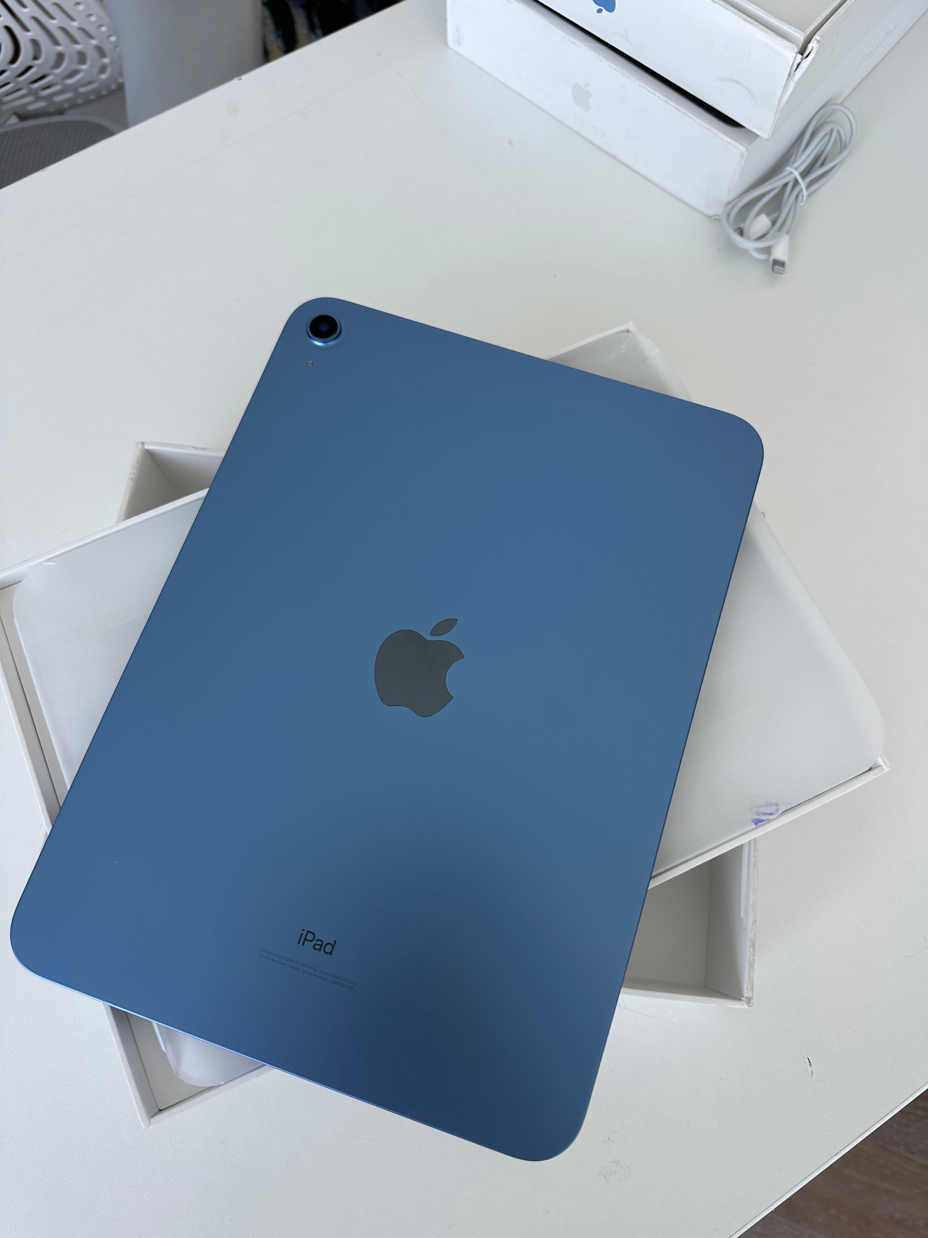iPad 10th Generation Wifi 256 GB