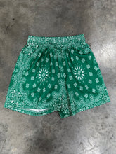 Load image into Gallery viewer, Bravest Studios Shorts Sz M
