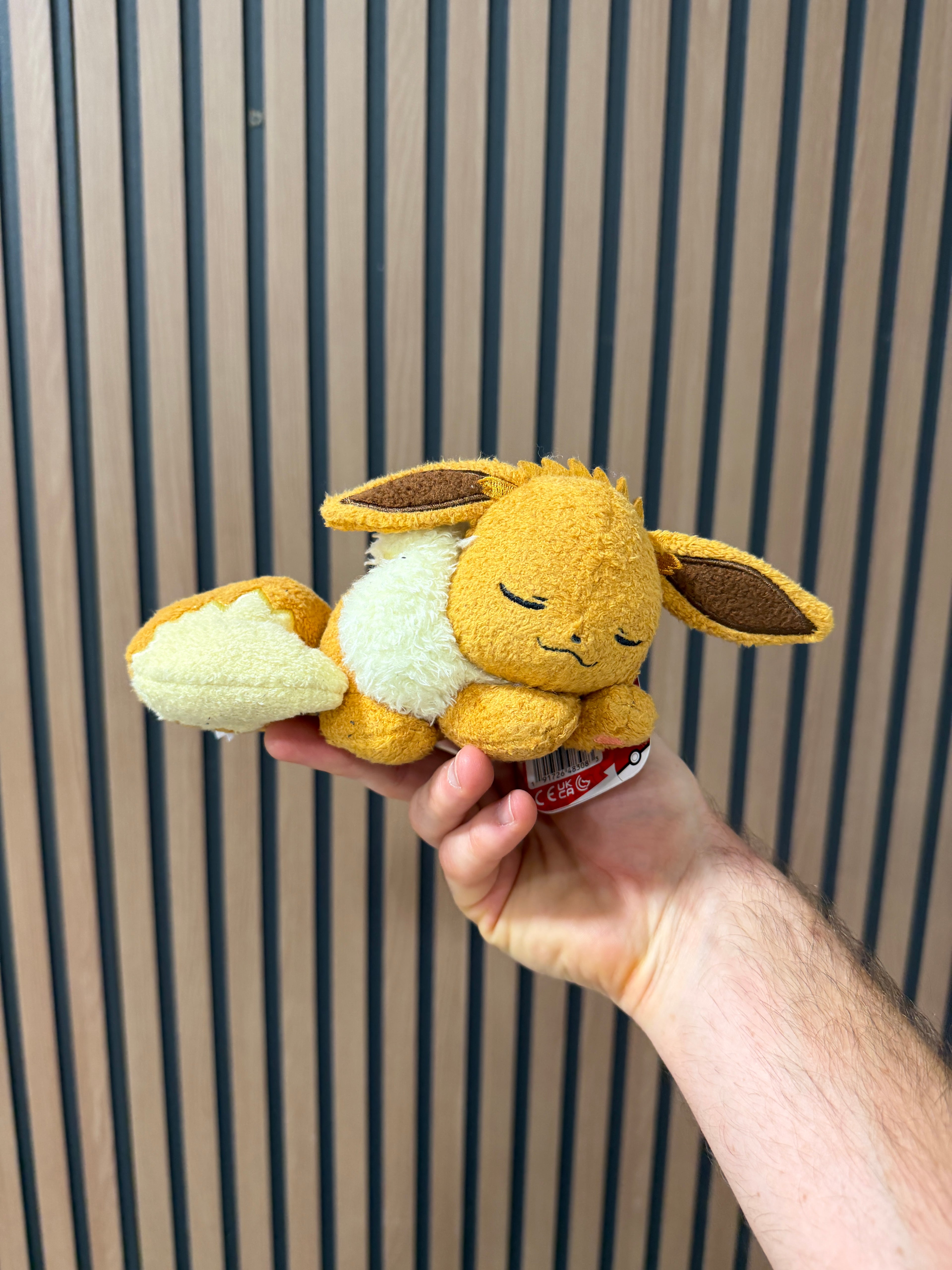 Pokemon Sleeping Eevee 5"