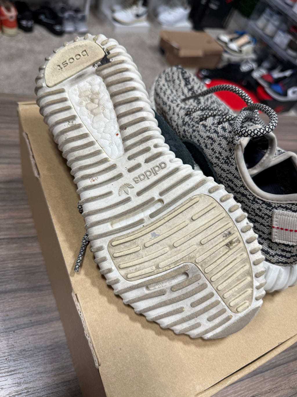 Yeezy 350 Turtle Dove Sz 6