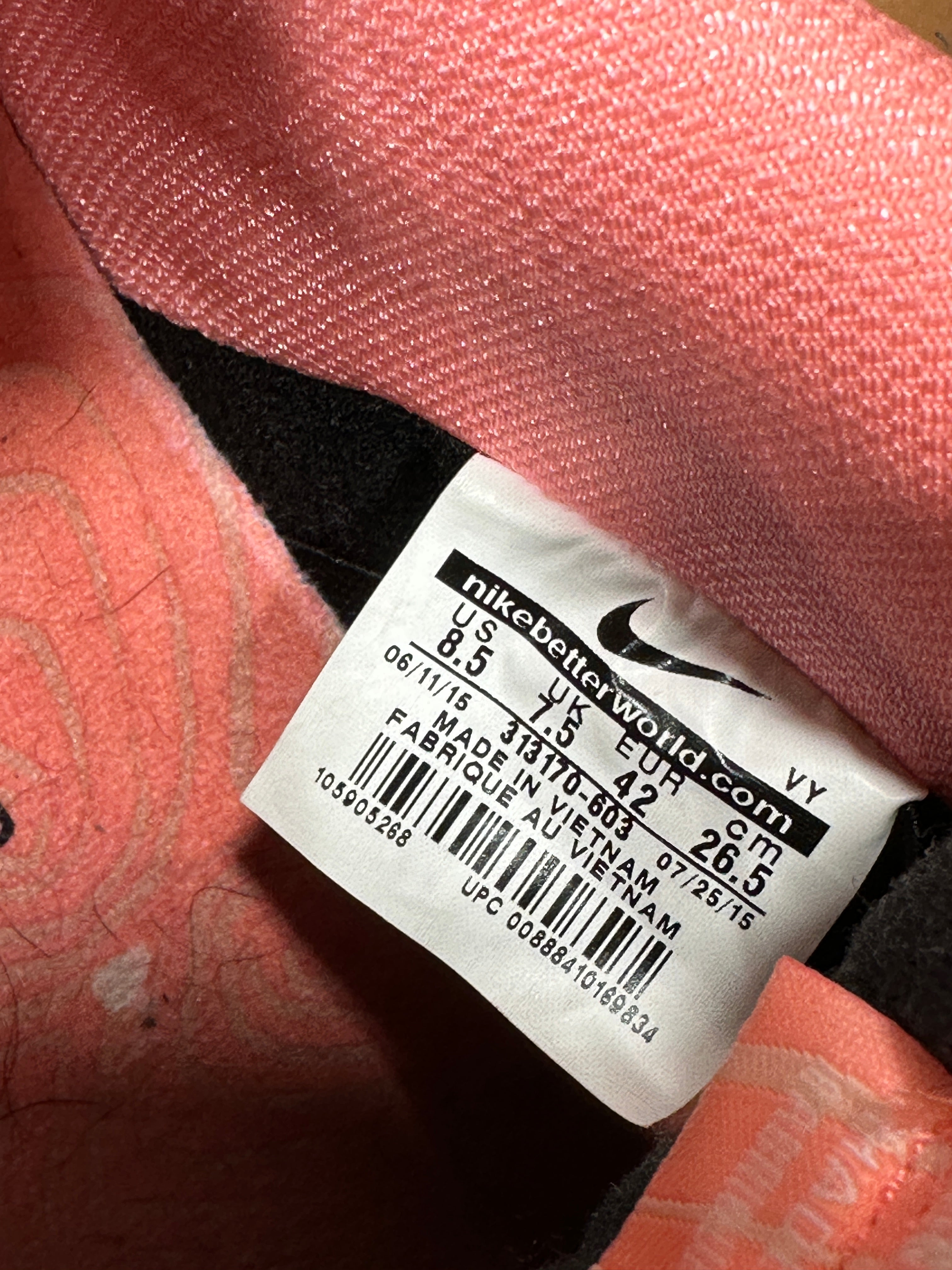 Nike SB Dunk Low Fish Ladder Sz 8.5 No Box