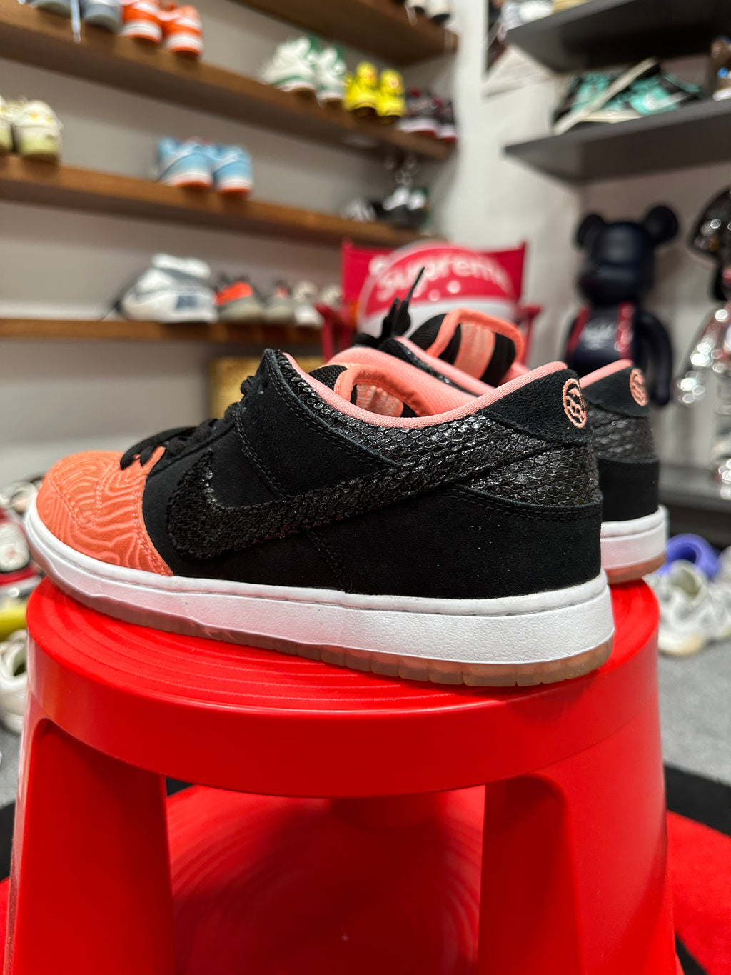 Nike SB Dunk Low Fish Ladder Sz 8.5 No Box