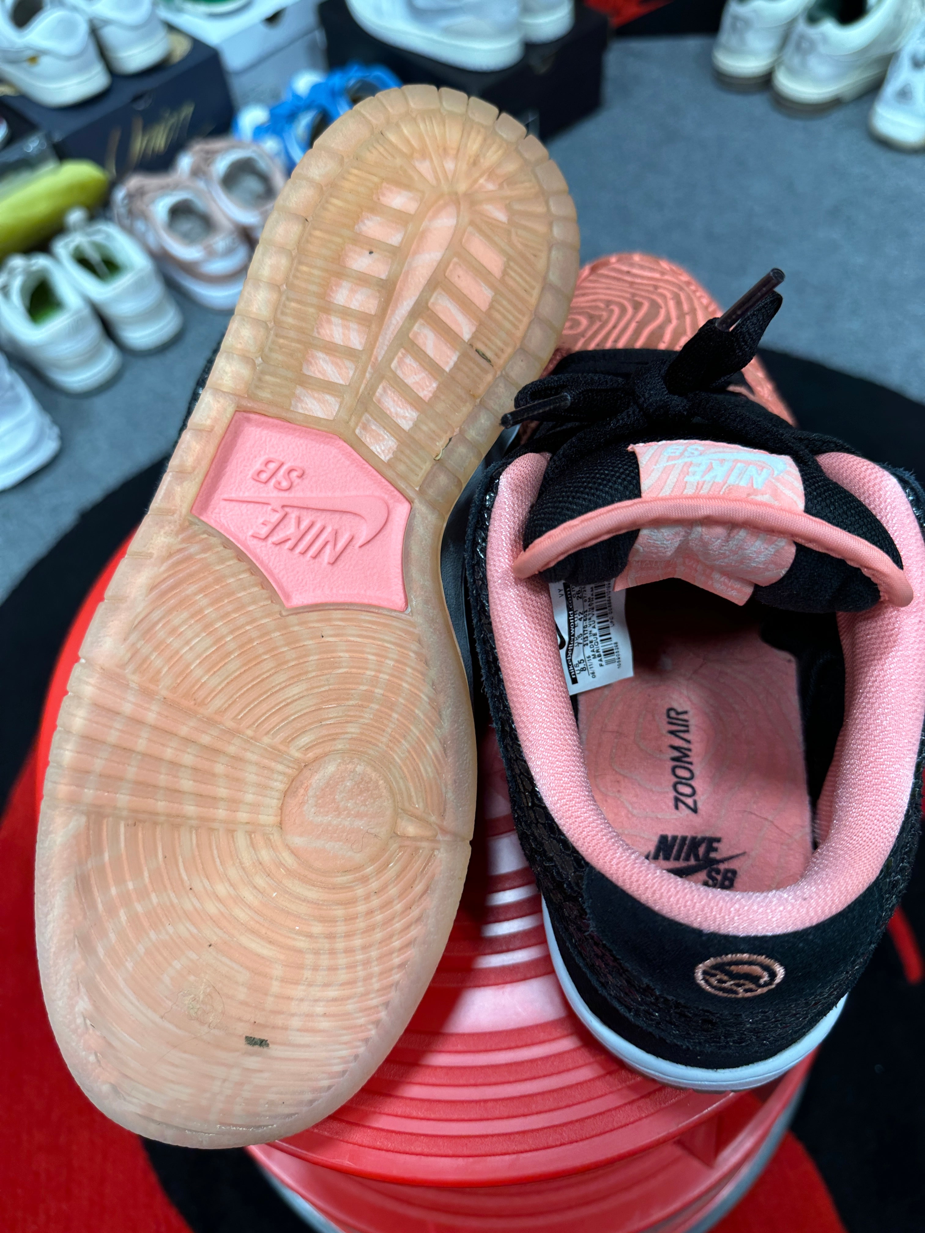 Nike SB Dunk Low Fish Ladder Sz 8.5 No Box