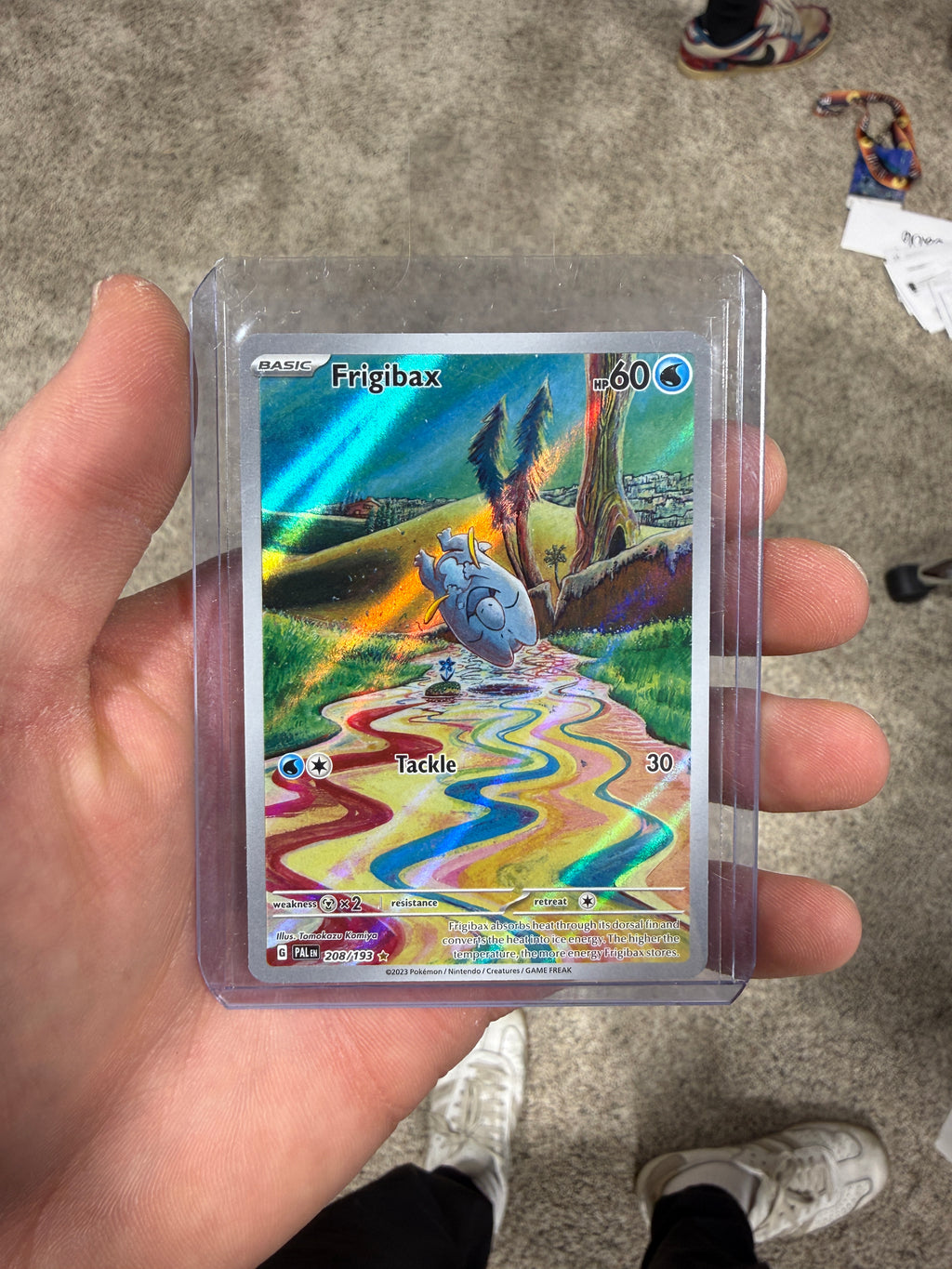Frigibax - 208/193 - SV02: Paldea Evolved (PAL)