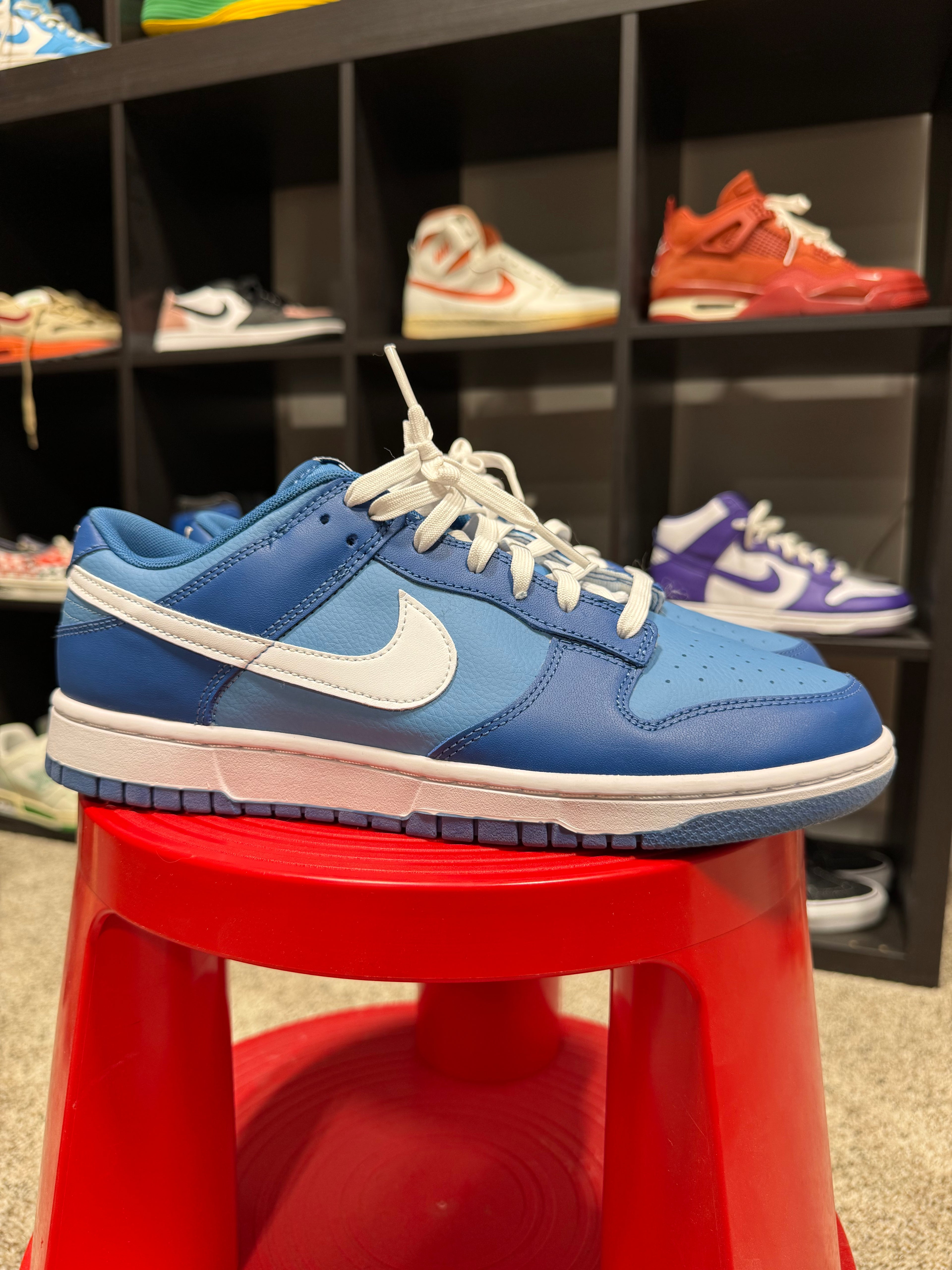 Nike Dunk Low Argon Sz 10.5 No Box