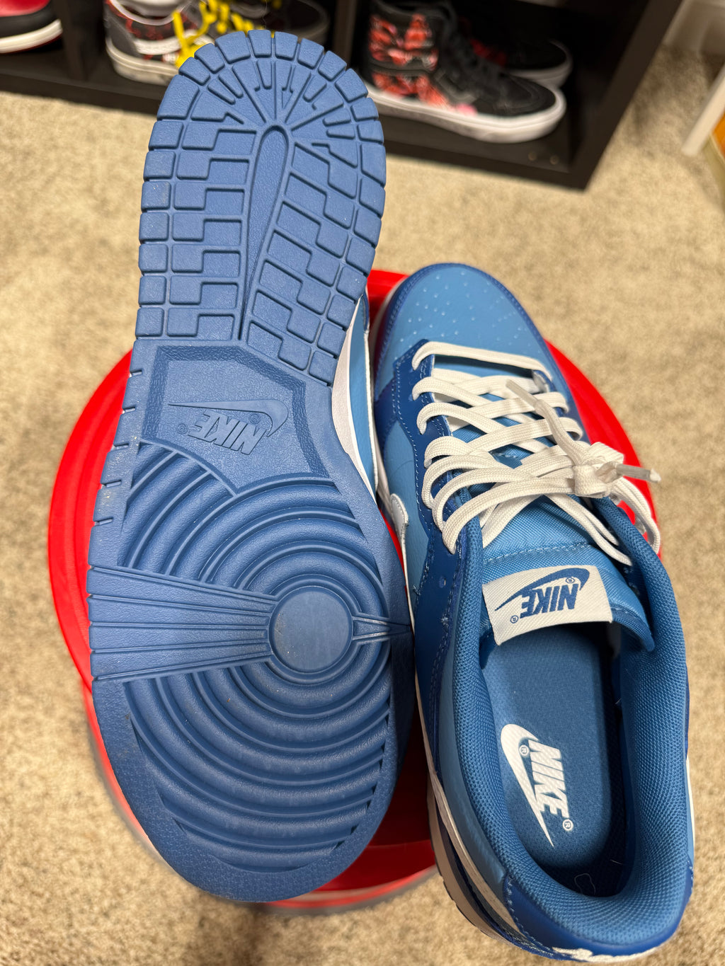 Nike Dunk Low Argon Sz 10.5 No Box