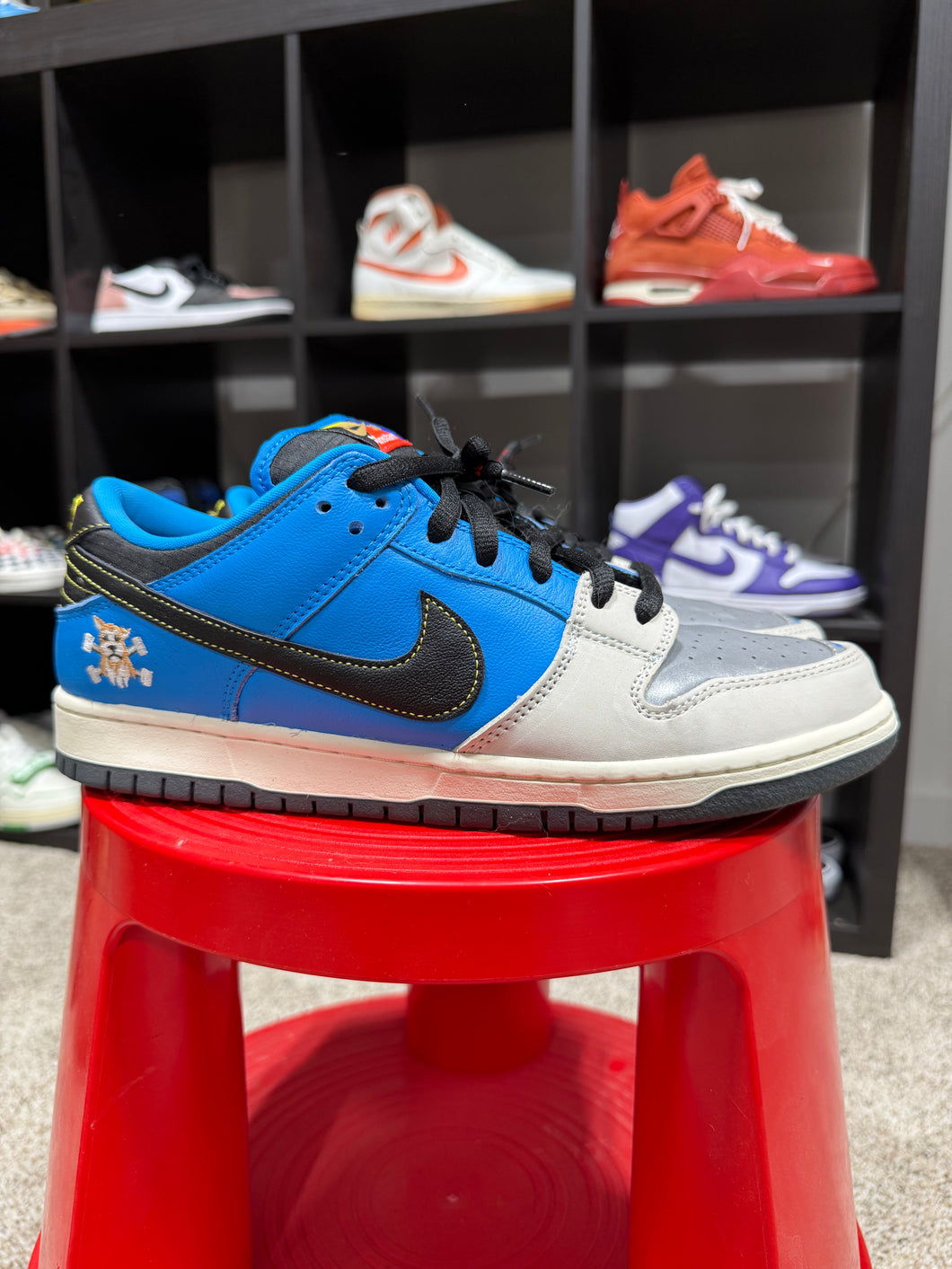 Nike SB Dunk Low Instant Skateboards Sz 10.5 No Box