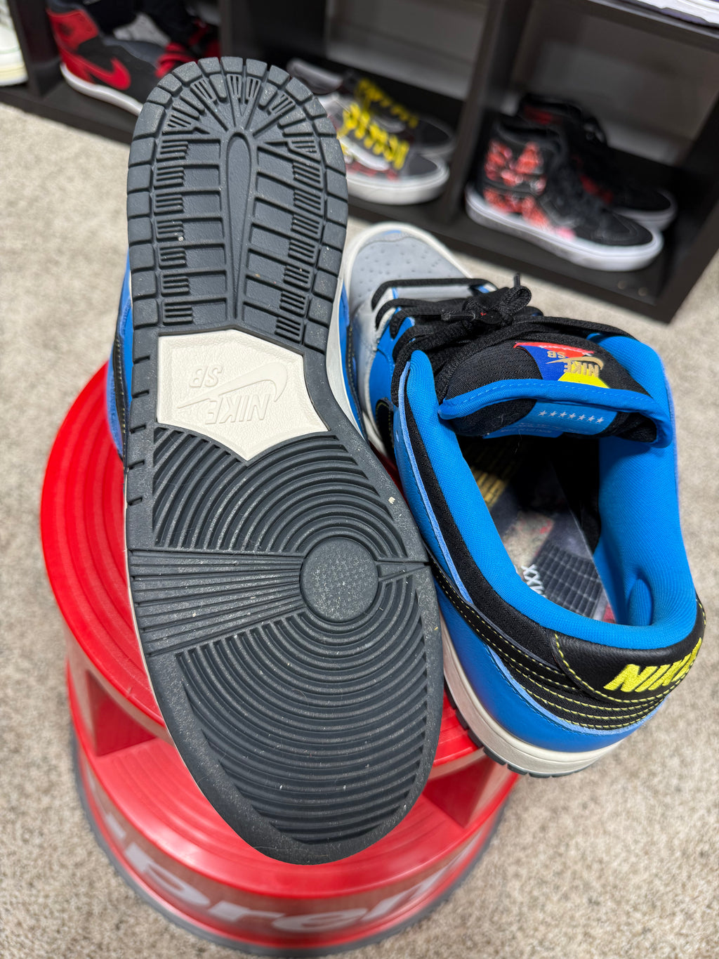 Nike SB Dunk Low Instant Skateboards Sz 10.5 No Box
