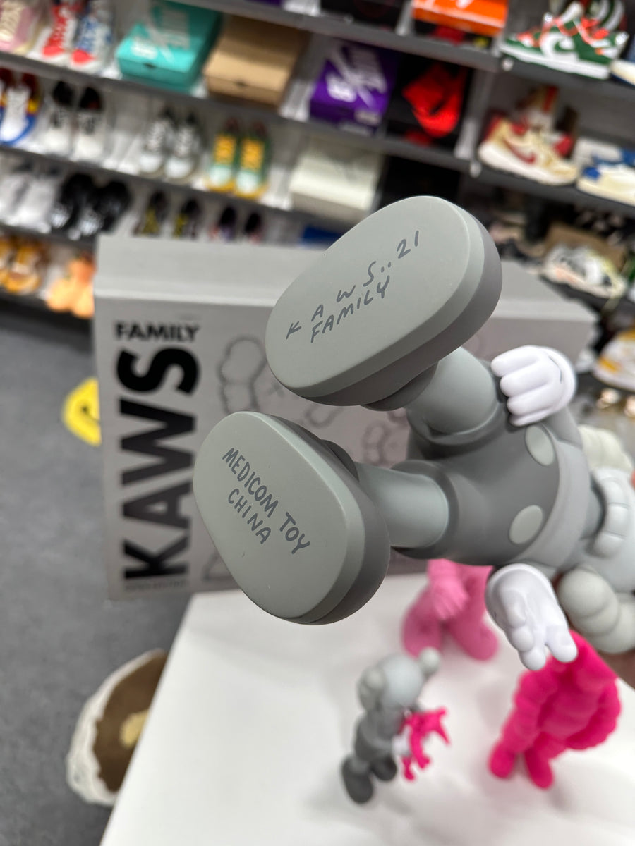 KAWS Family Vinyl Figures Grey/Pink – HN Shop
