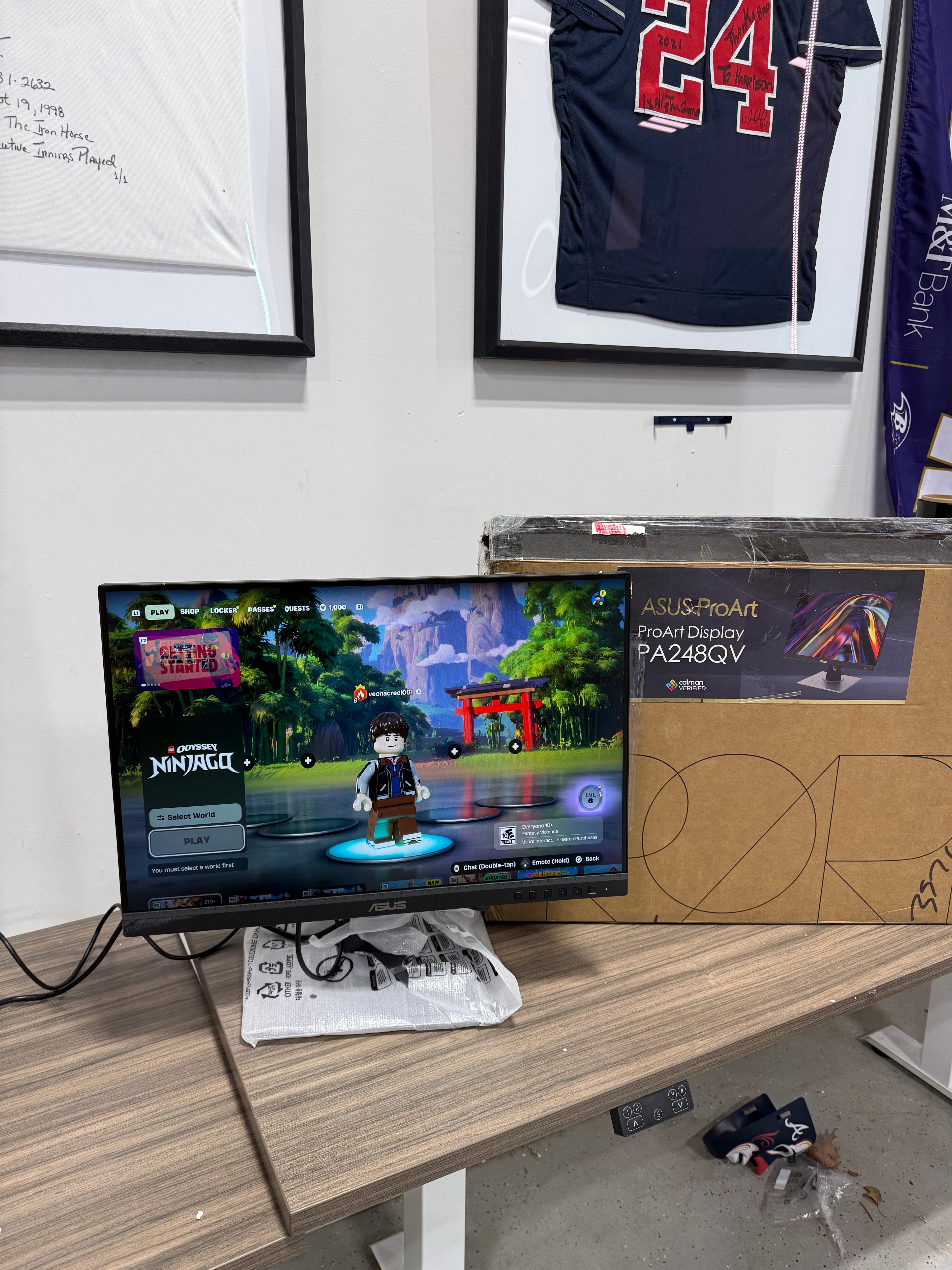 ASUS ProArt Display PA248QV 24" WUXGA 1920 x 1200 16:10 Professional Monitor, 100% sRGB/Rec.709 Delta E < 2, IPS, DisplayPort HDMI D-Sub, Calman Verified, Eye Care, Anti-glare, Tilt Pivot Swivel Height Adjustable