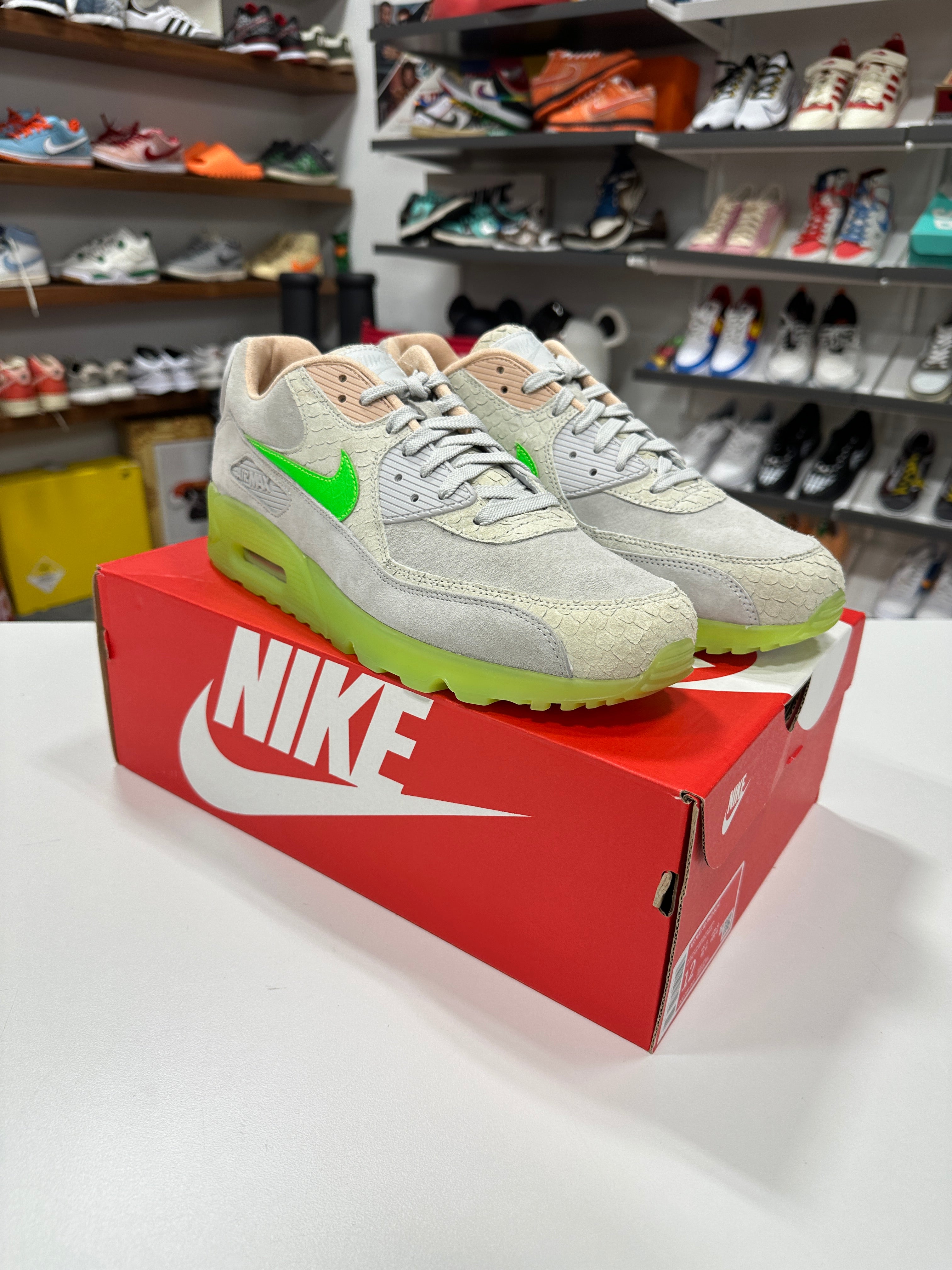 Nike Air Max 90 New Species Sz 12