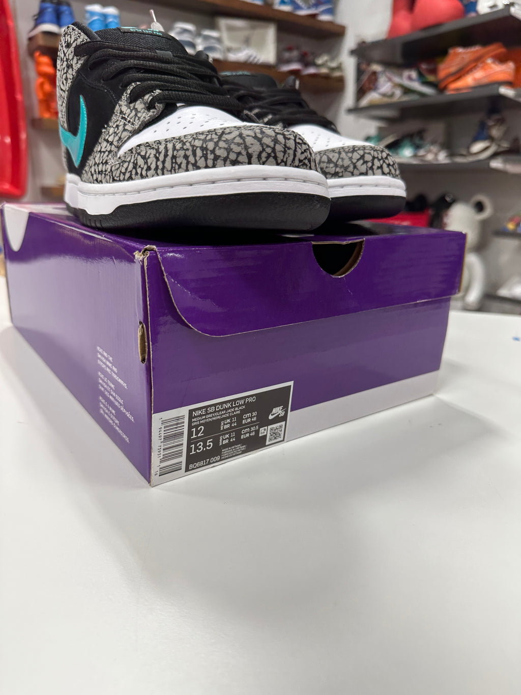 Nike SB Dunk Low atmos Elephant Sz 12