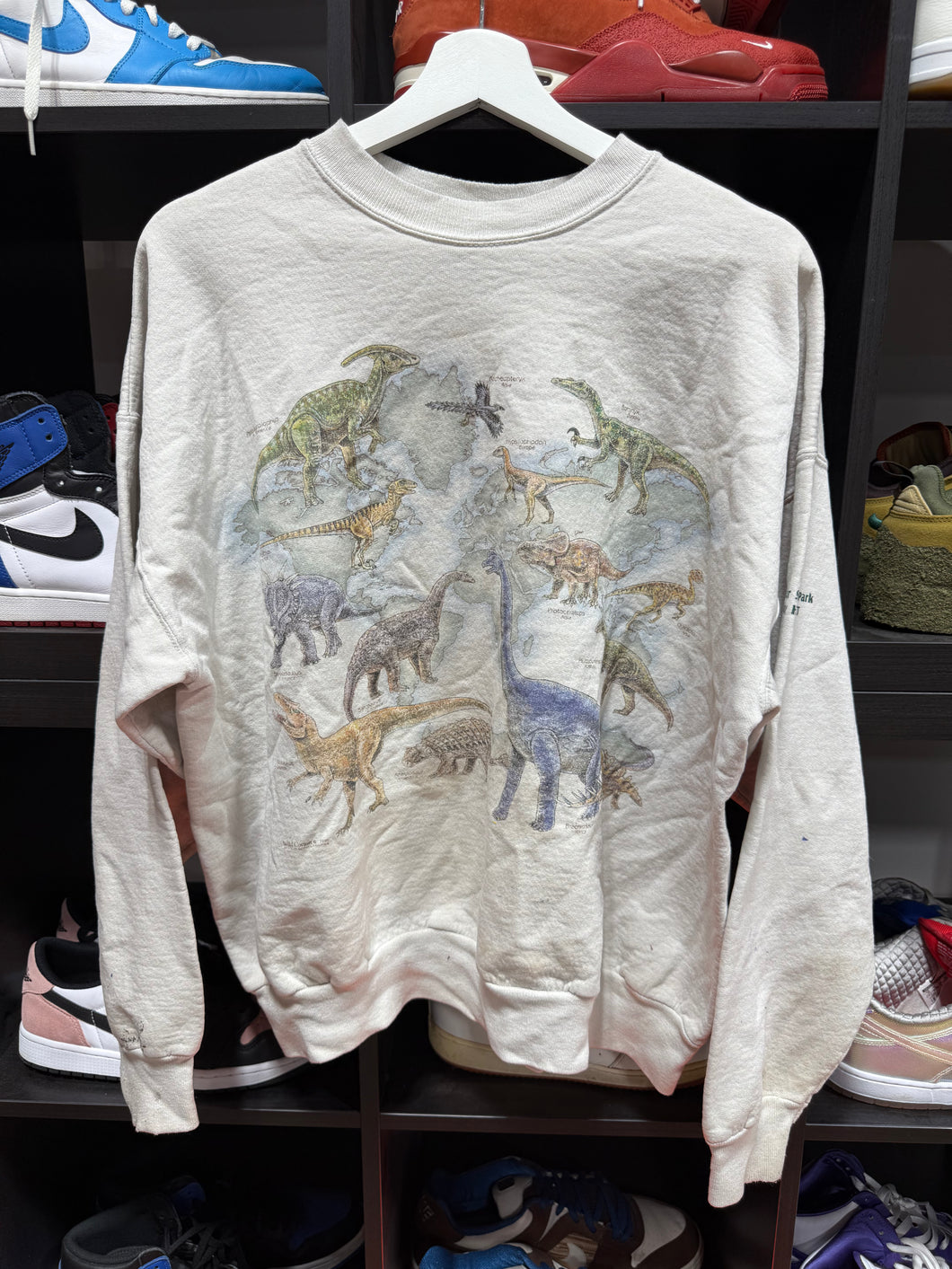 Vintage Dinosaur State Park Rocky Hill CT Crewneck Sz XL