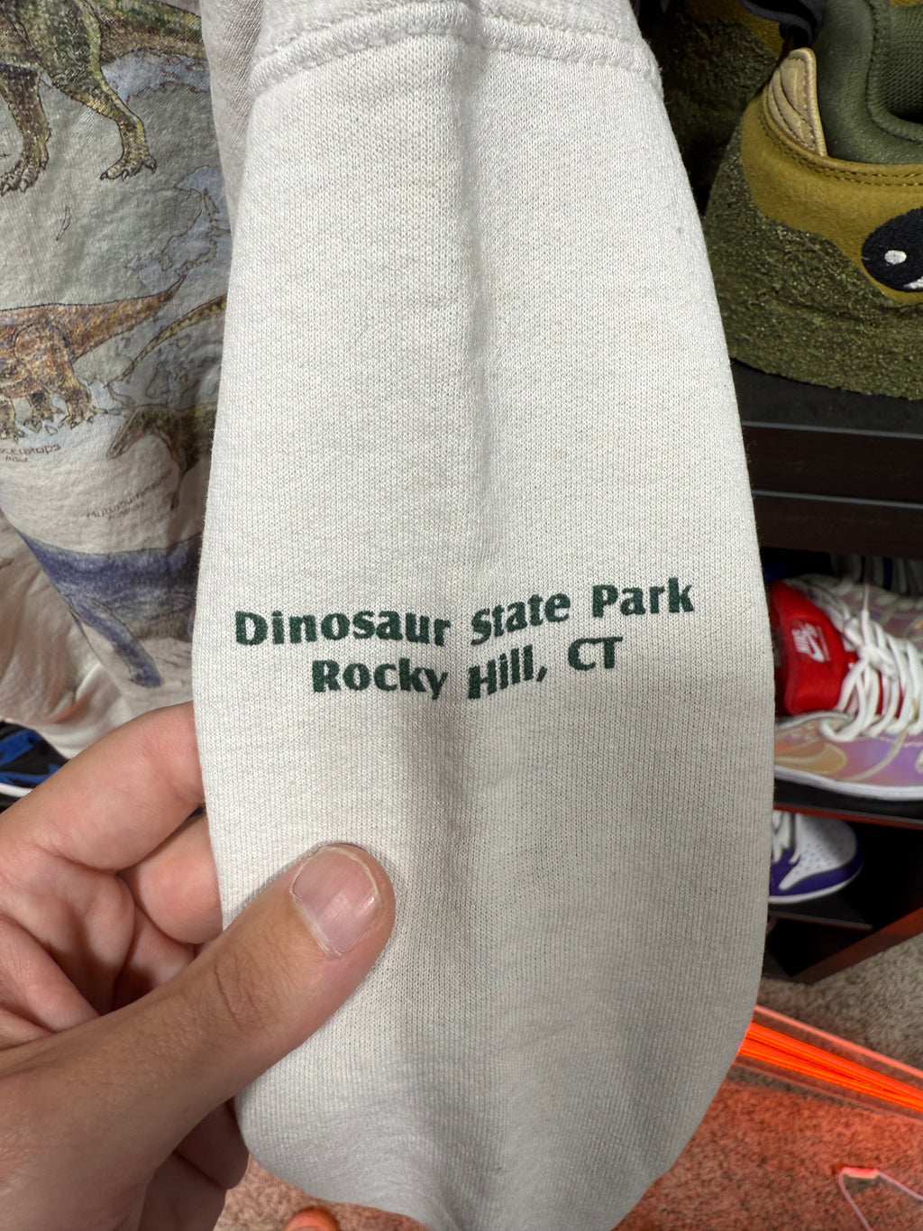 Vintage Dinosaur State Park Rocky Hill CT Crewneck Sz XL