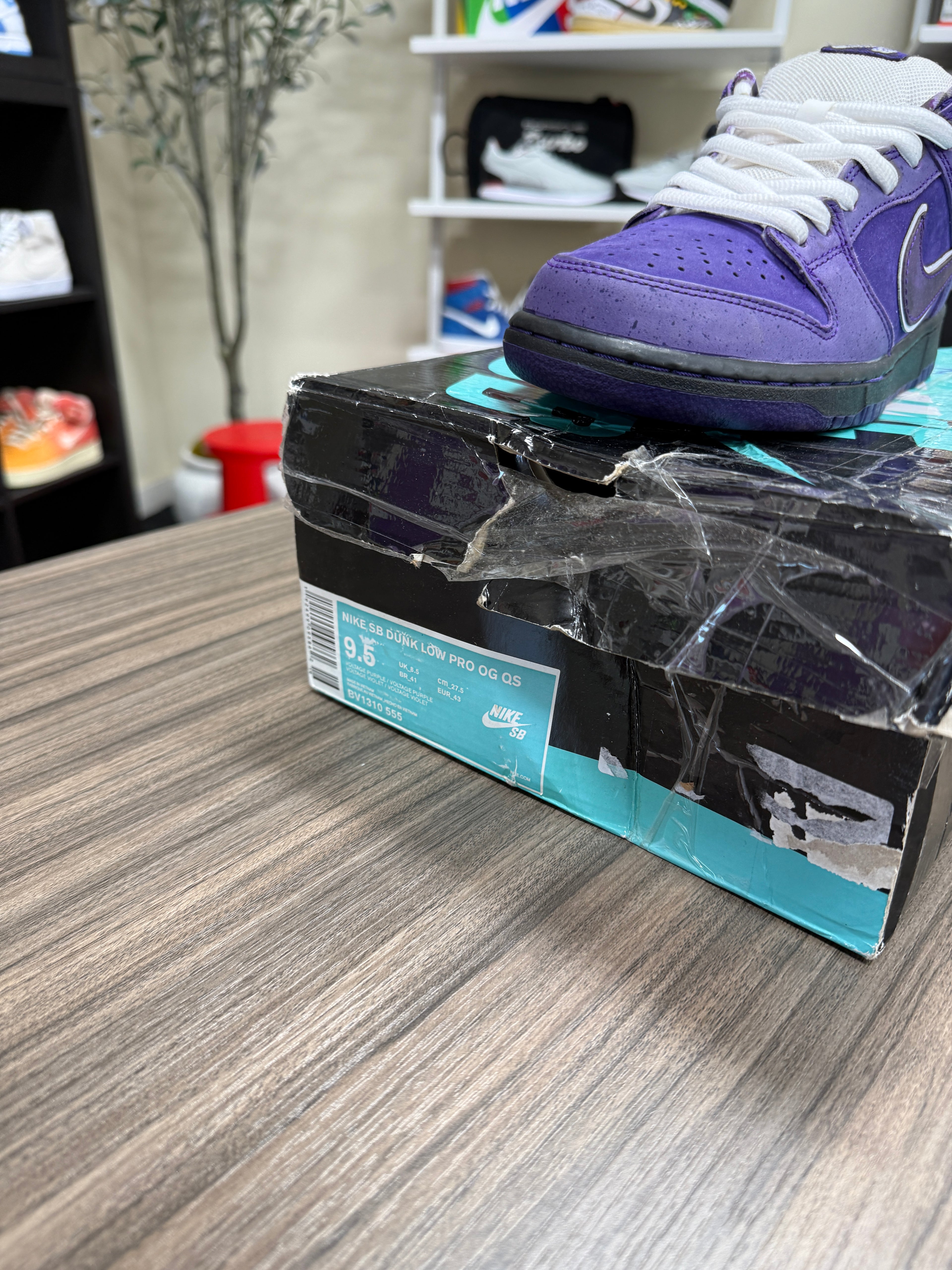 Nike Dunk Low SB 'Purple Lobster' Sz 9.5