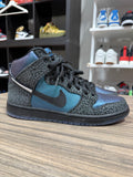 Nike SB Dunk High NBA Sz 10.5 No Box