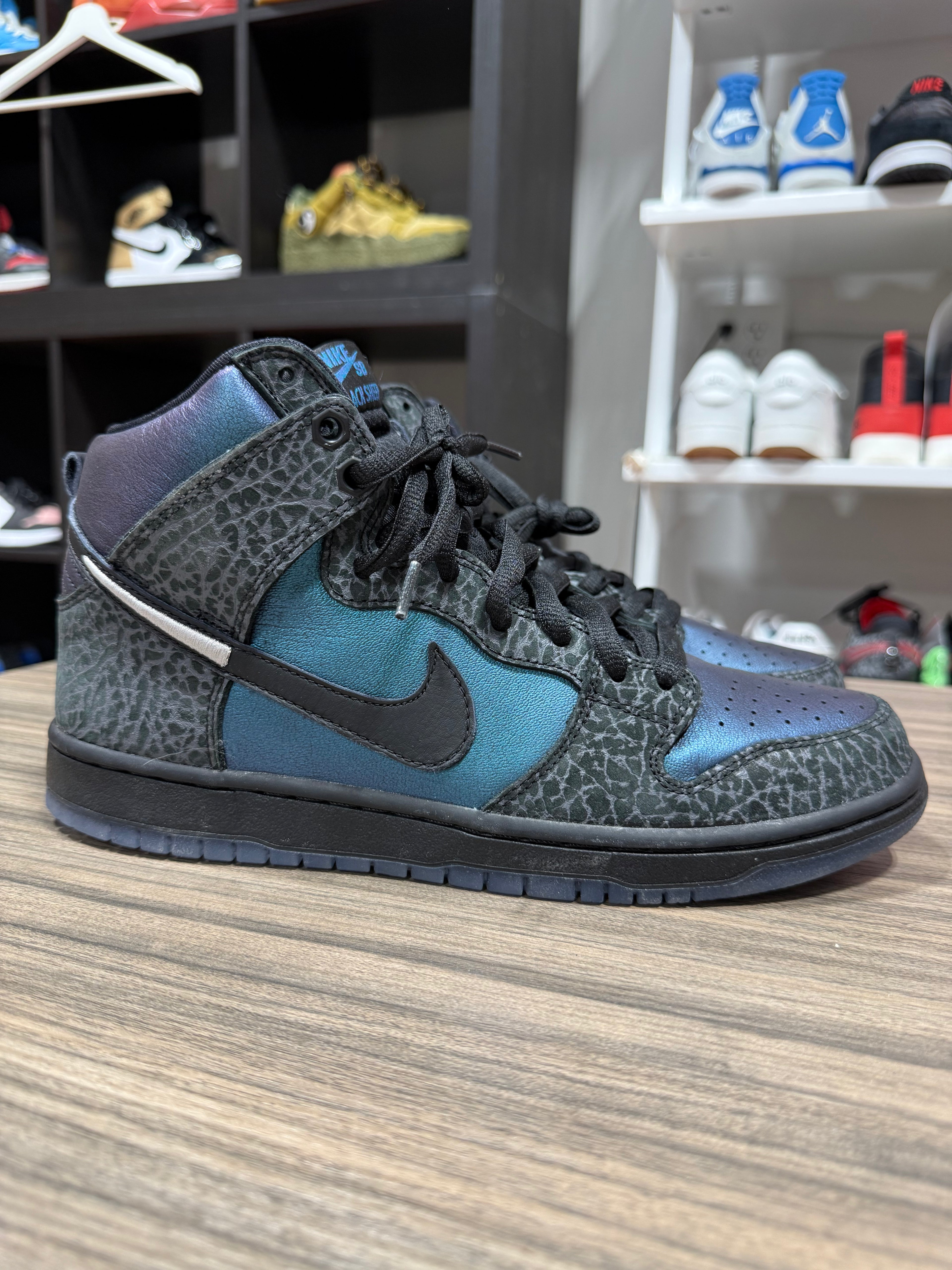 Nike SB Dunk High NBA Sz 10.5 No Box