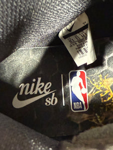 Nike SB Dunk High NBA Sz 10.5 No Box