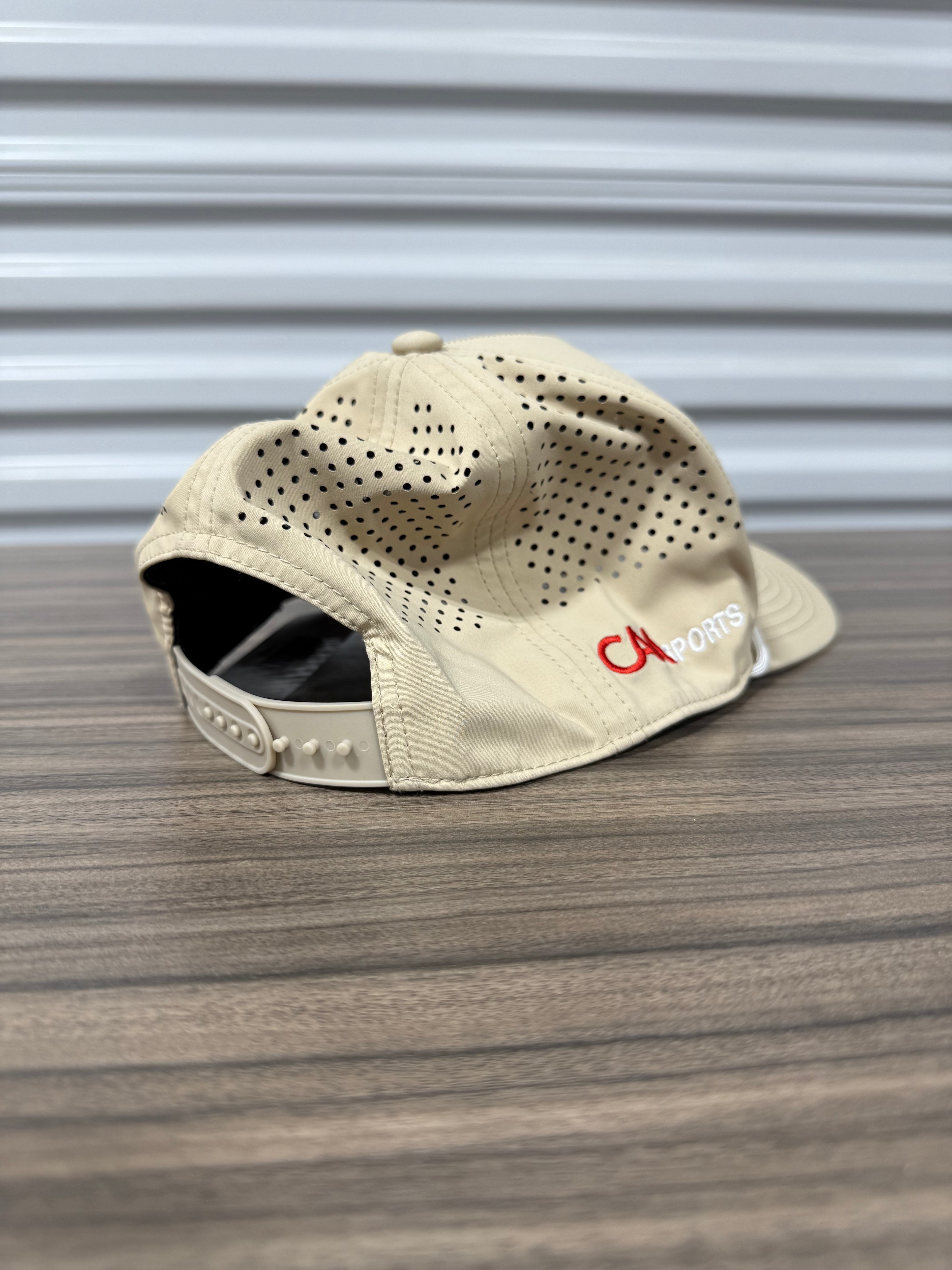 Super Bowl LIX Hat