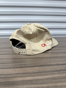 Super Bowl LIX Hat