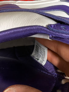 Nike Dunk High 'Varsity Purple' Sz 10M/11.5W NO BOX
