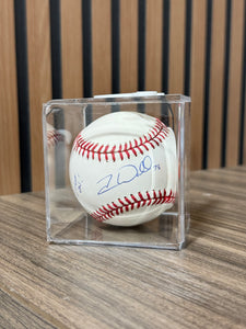 Braves Forest Wall Signed Baseball