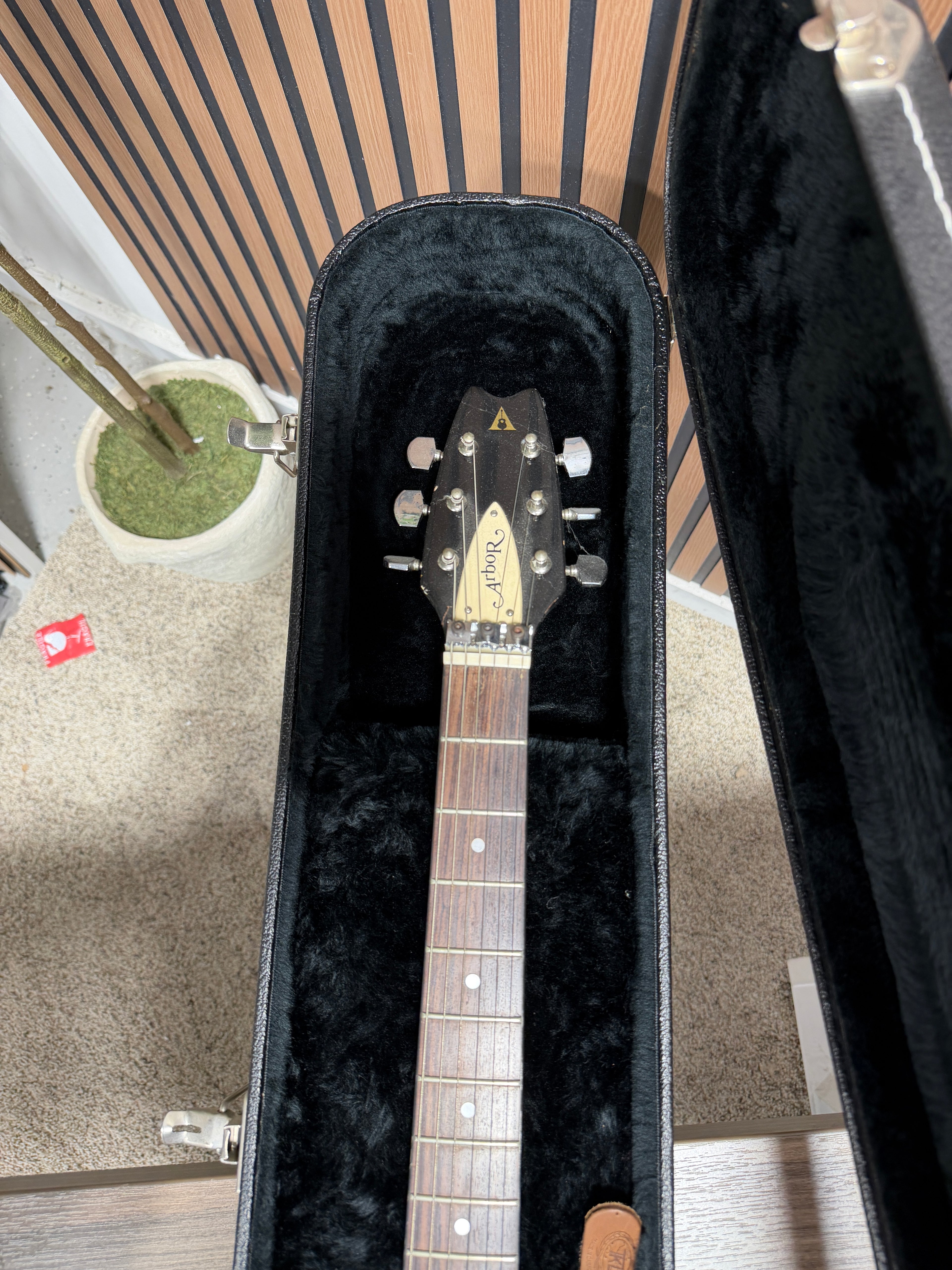 Arbor Flying V Electric Guitar With Case