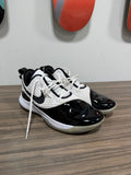 Nike LeBron Witness 3 Premium 'Concord' Sz 13