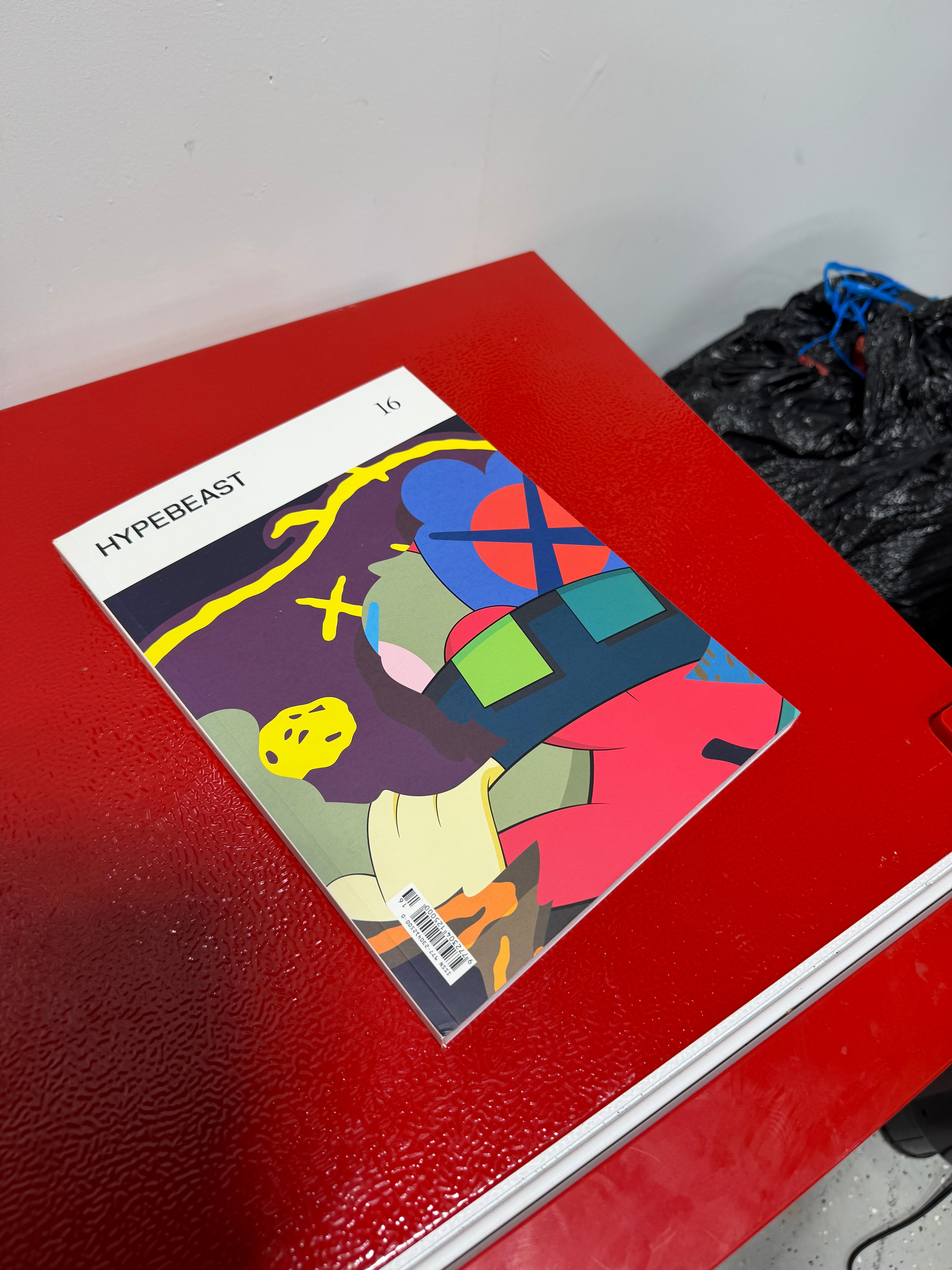 KAWS Hypebeast Issue 16: The Projection Issue