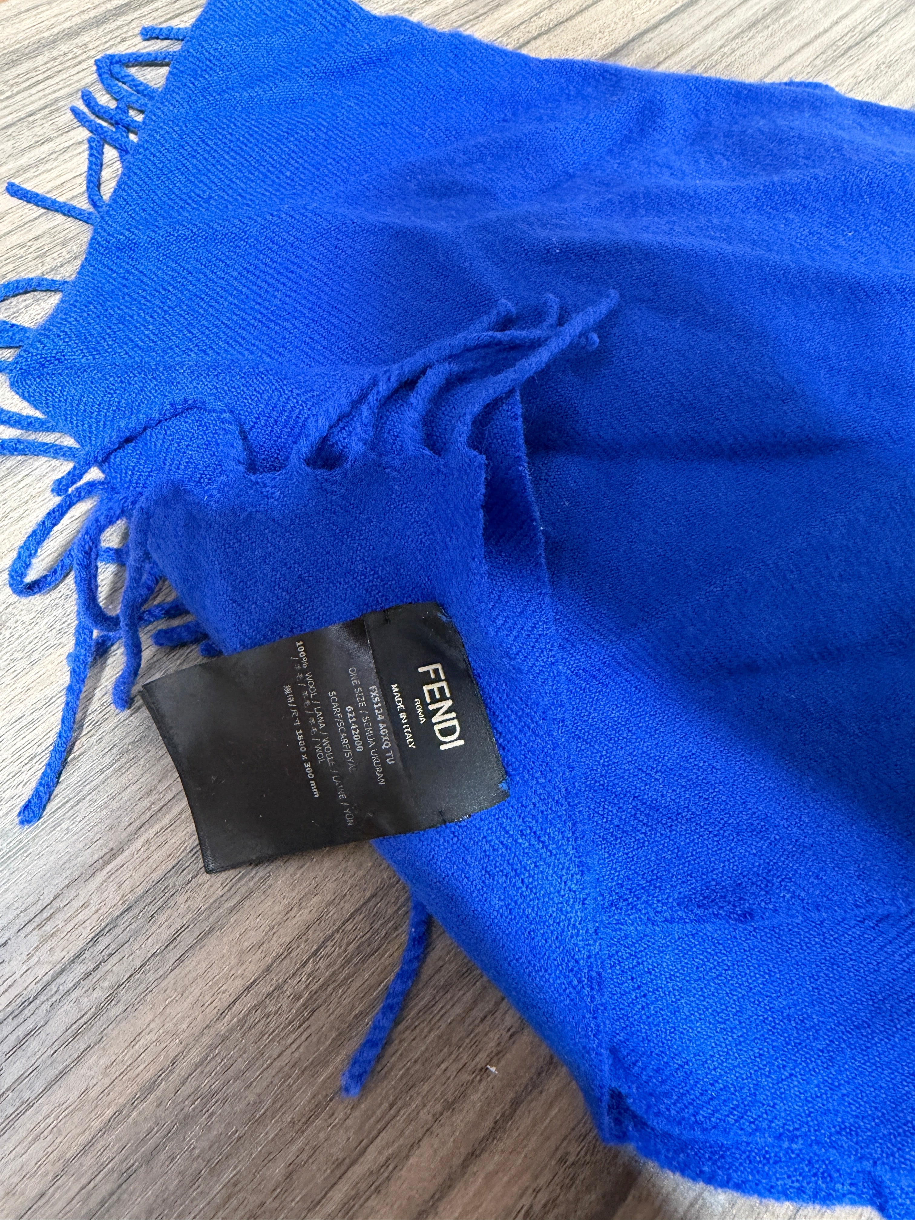 Fendi Dover Street Market DSM NEW YORK LIMITED EDITION Fringed Scarf NWT