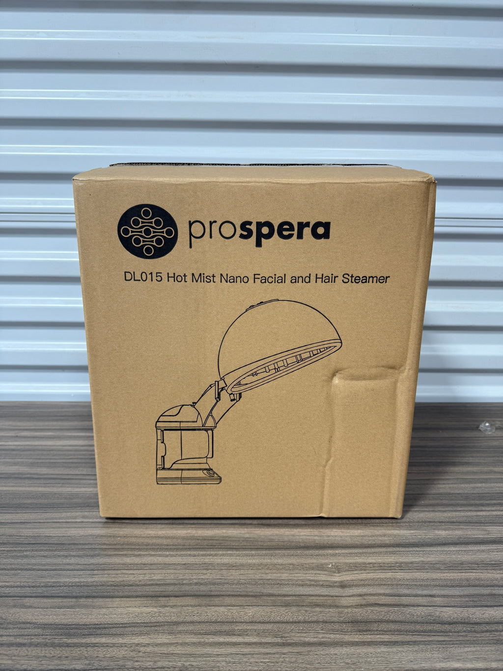 Prospera Hot Mist Nano Facial and Hair Steamer