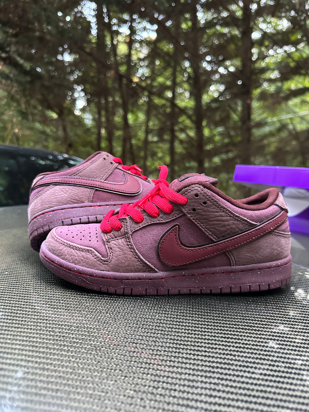 Nike SB Dunk Low 