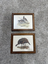 Load image into Gallery viewer, Set of 2 Duck Wall Art
