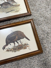 Load image into Gallery viewer, Set of 2 Duck Wall Art
