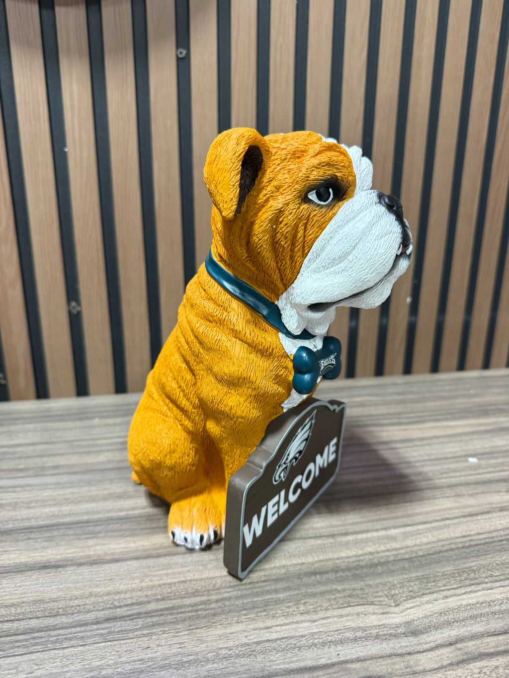 Eagles foco NFL Unisex-Adult 11" Dog Welcome