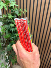 Load image into Gallery viewer, My Universe: Pet Clinic Cats and Dogs - Nintendo Switch
