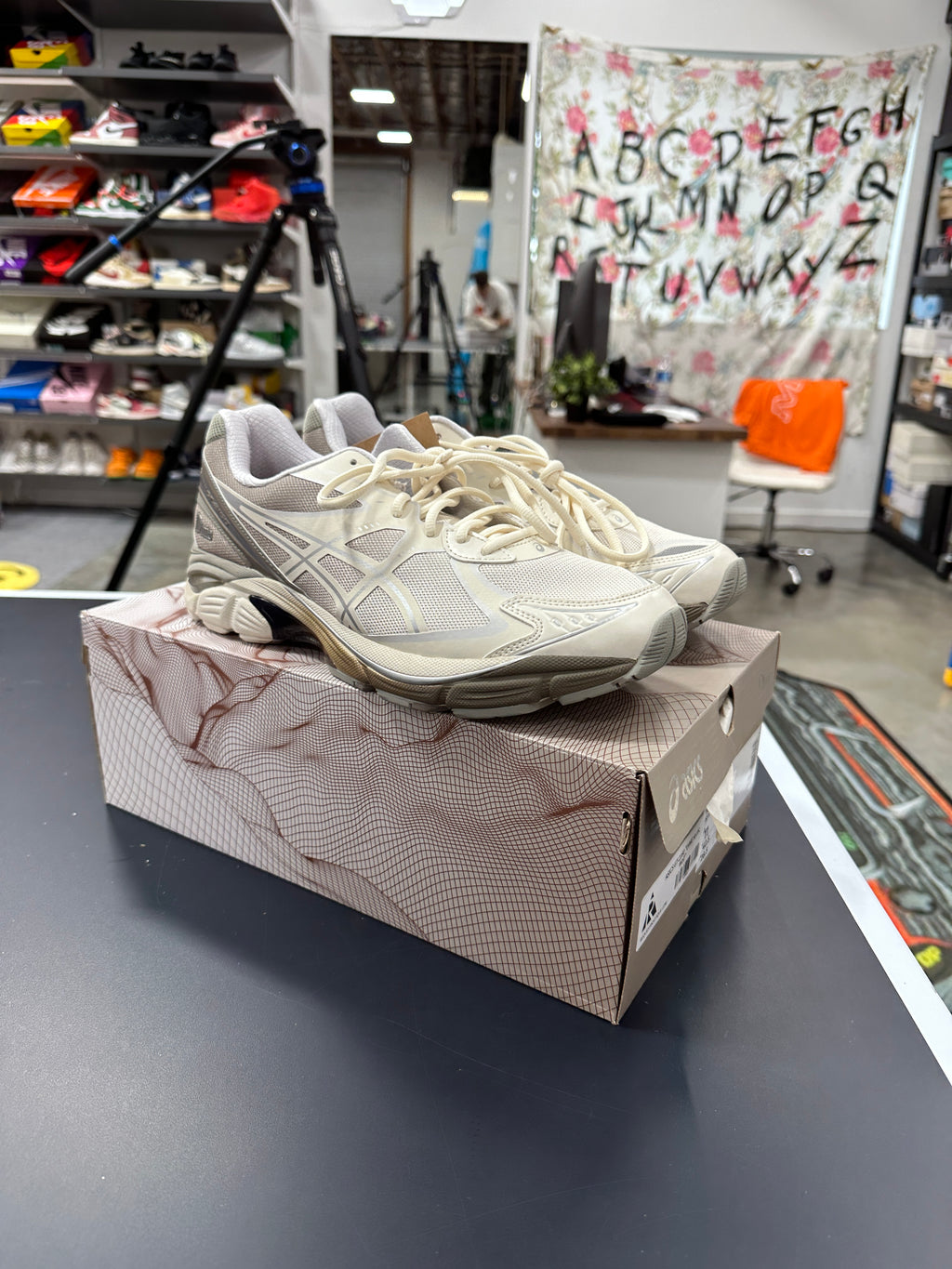 ASICS GT-2160 DIME Arctic Wolf Sz 11
