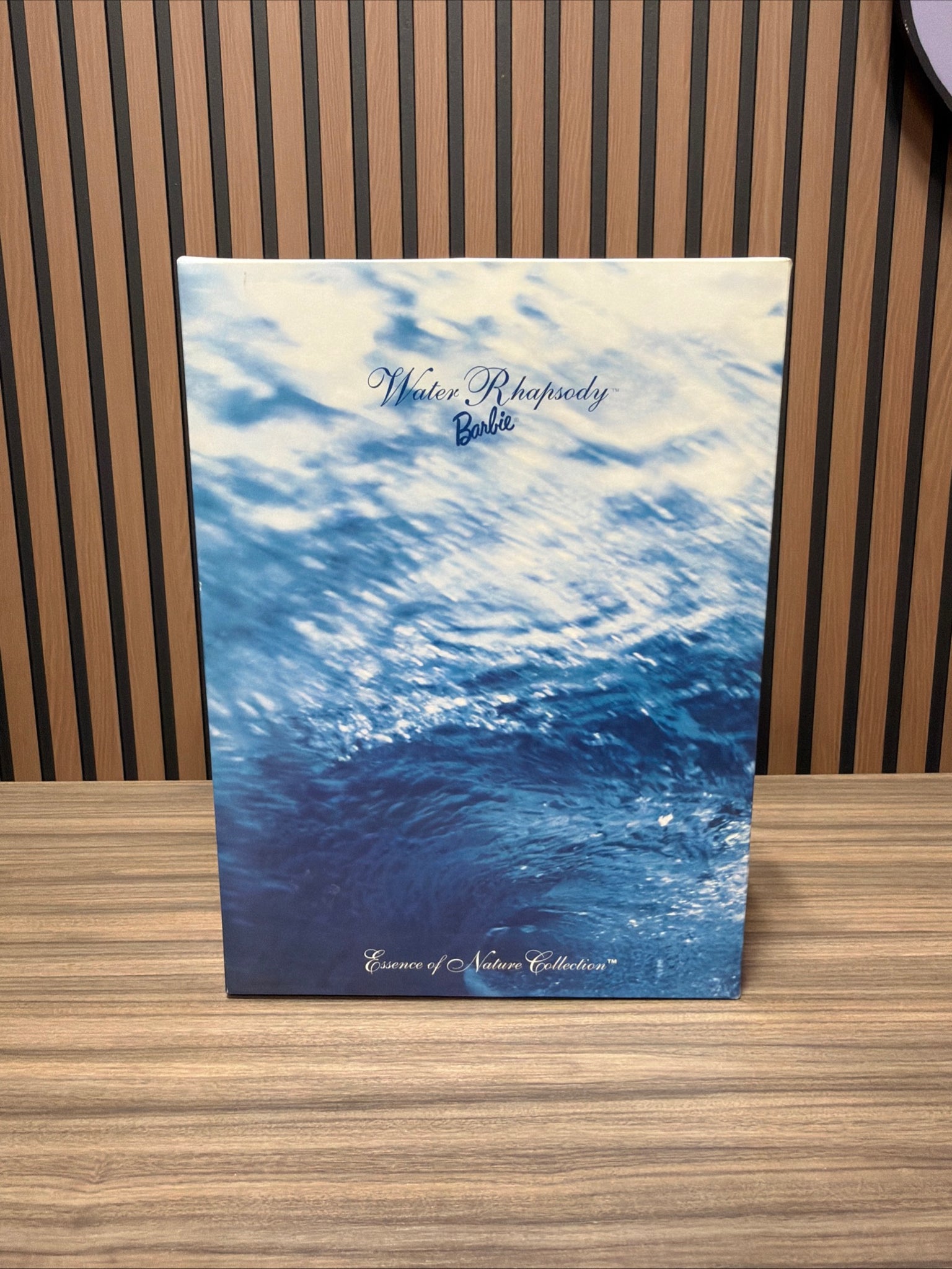 Water Rhapsody Mattel 1998 Water Rhapsody Barbie Doll Limited Edition – HN Shop