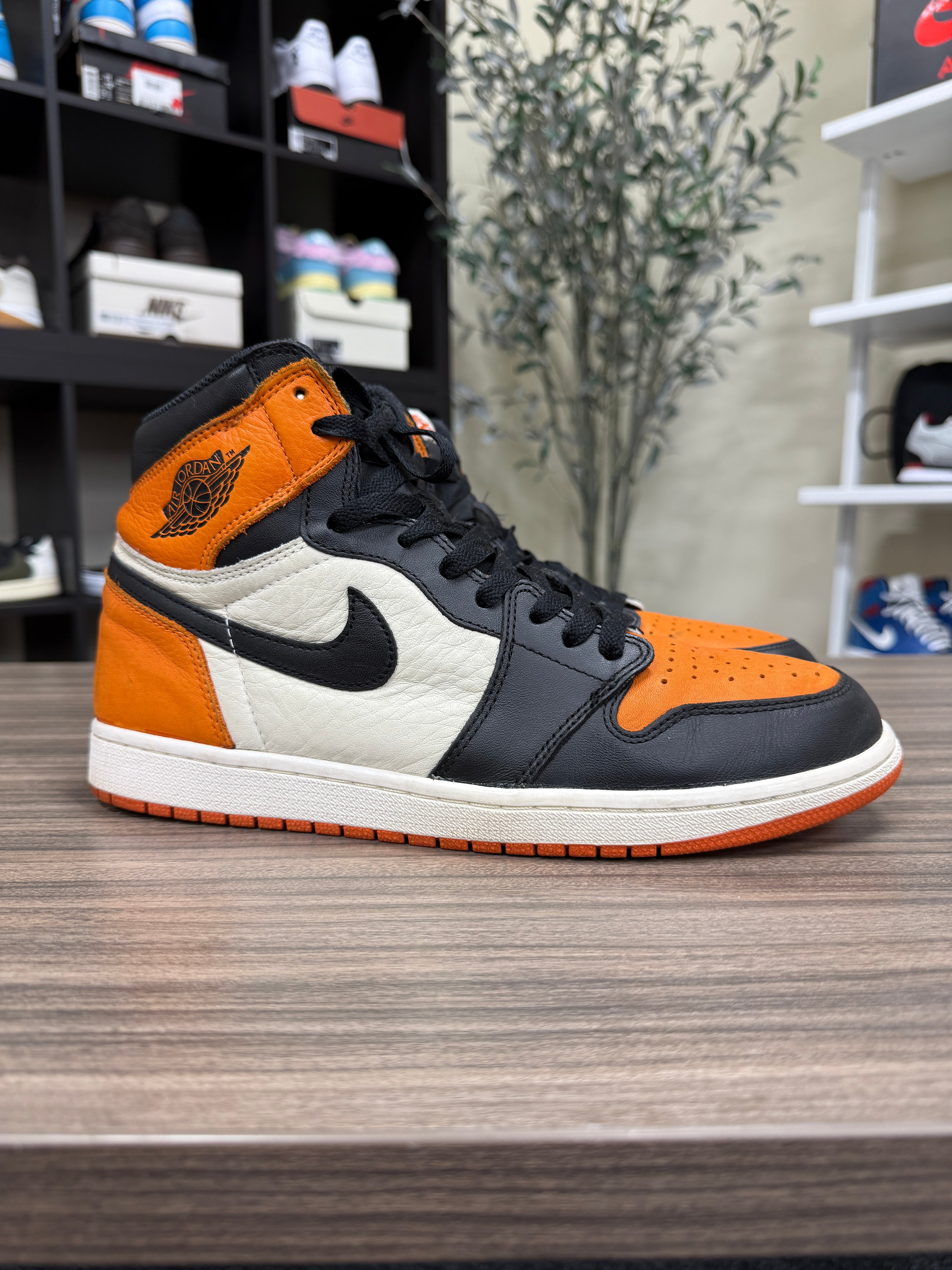 Jordan 1 High Shattered Backboard Sz 11.5