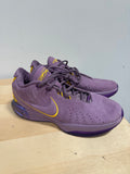 Nike LeBron 21 XXI Freshwater Purple Rain Violet Dust Gold FV2345-500 Men’s Size 10