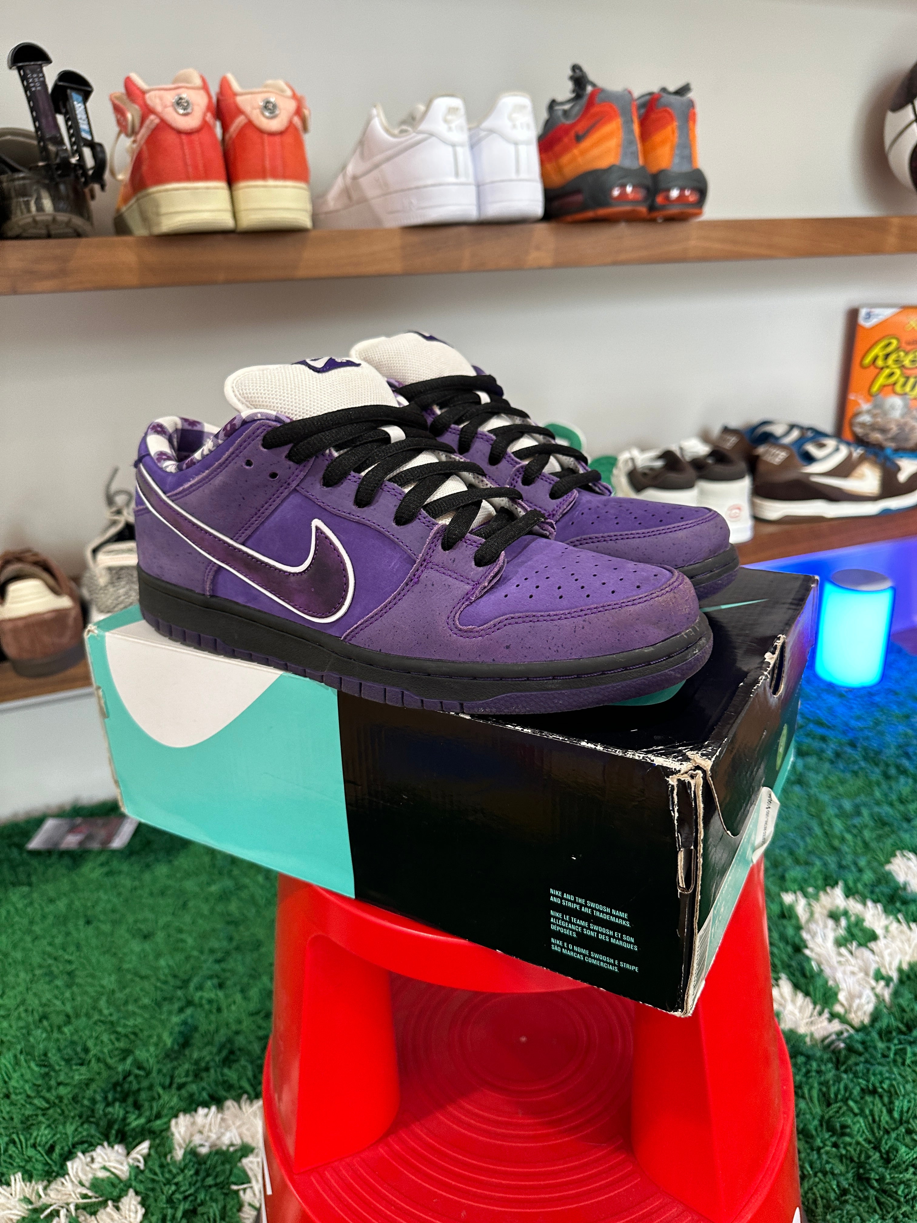 Nike SB Dunk Low Concepts Purple Lobster Sz 11.5