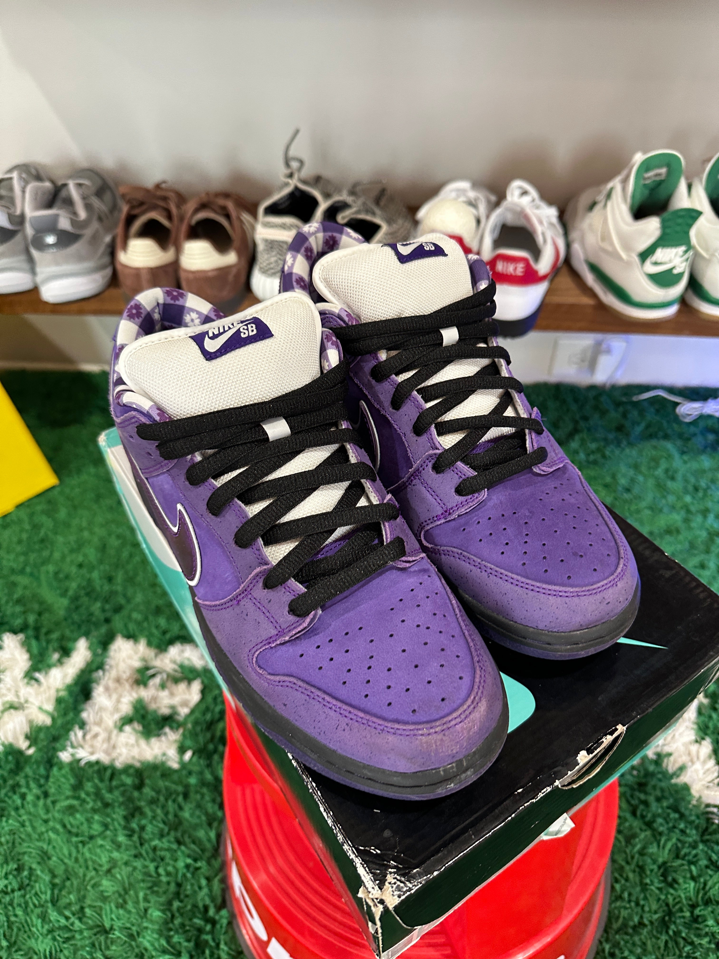 Nike SB Dunk Low Concepts Purple Lobster Sz 11.5