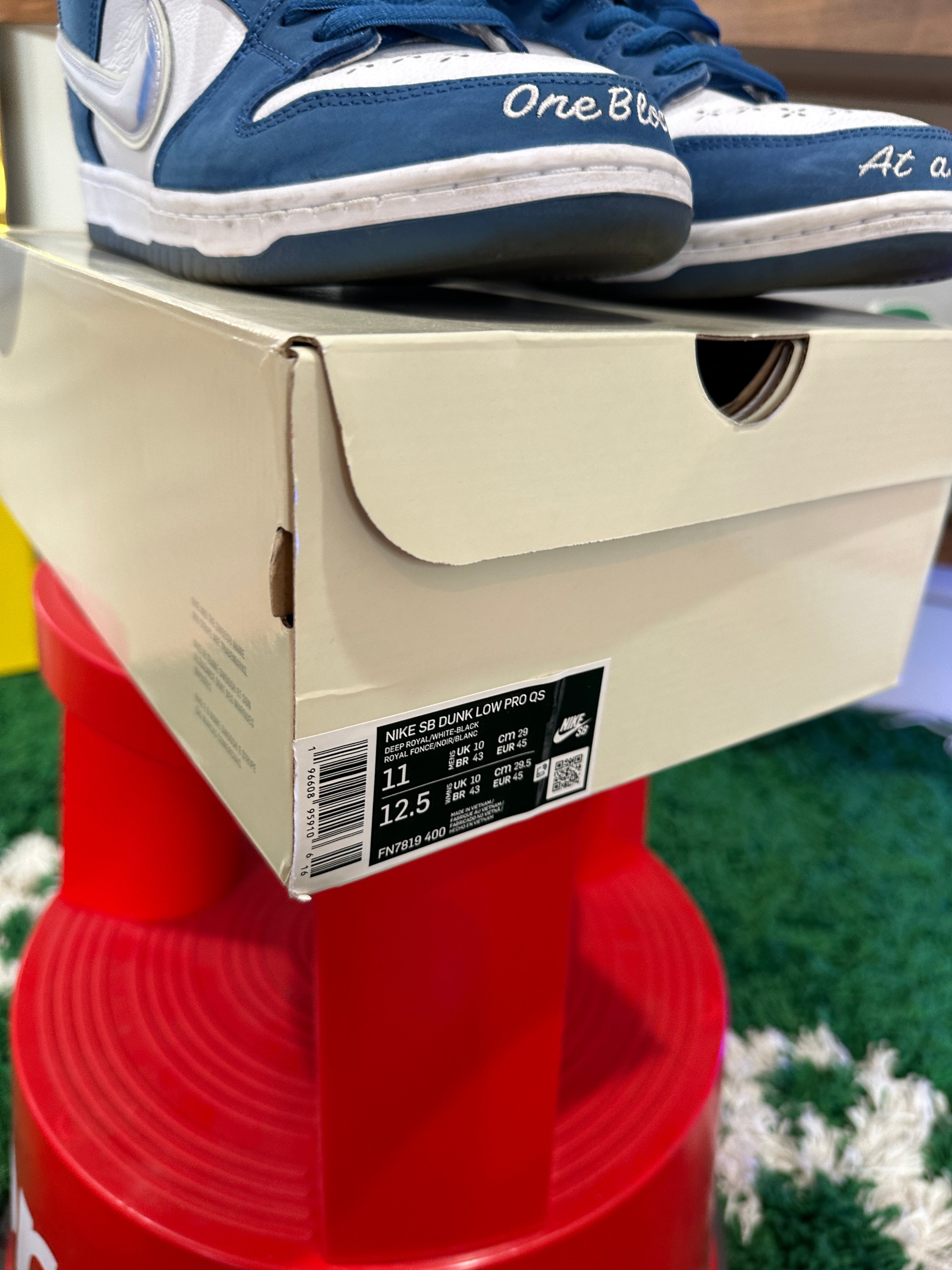 Nike SB Dunk Low Born X Raised Sz 11