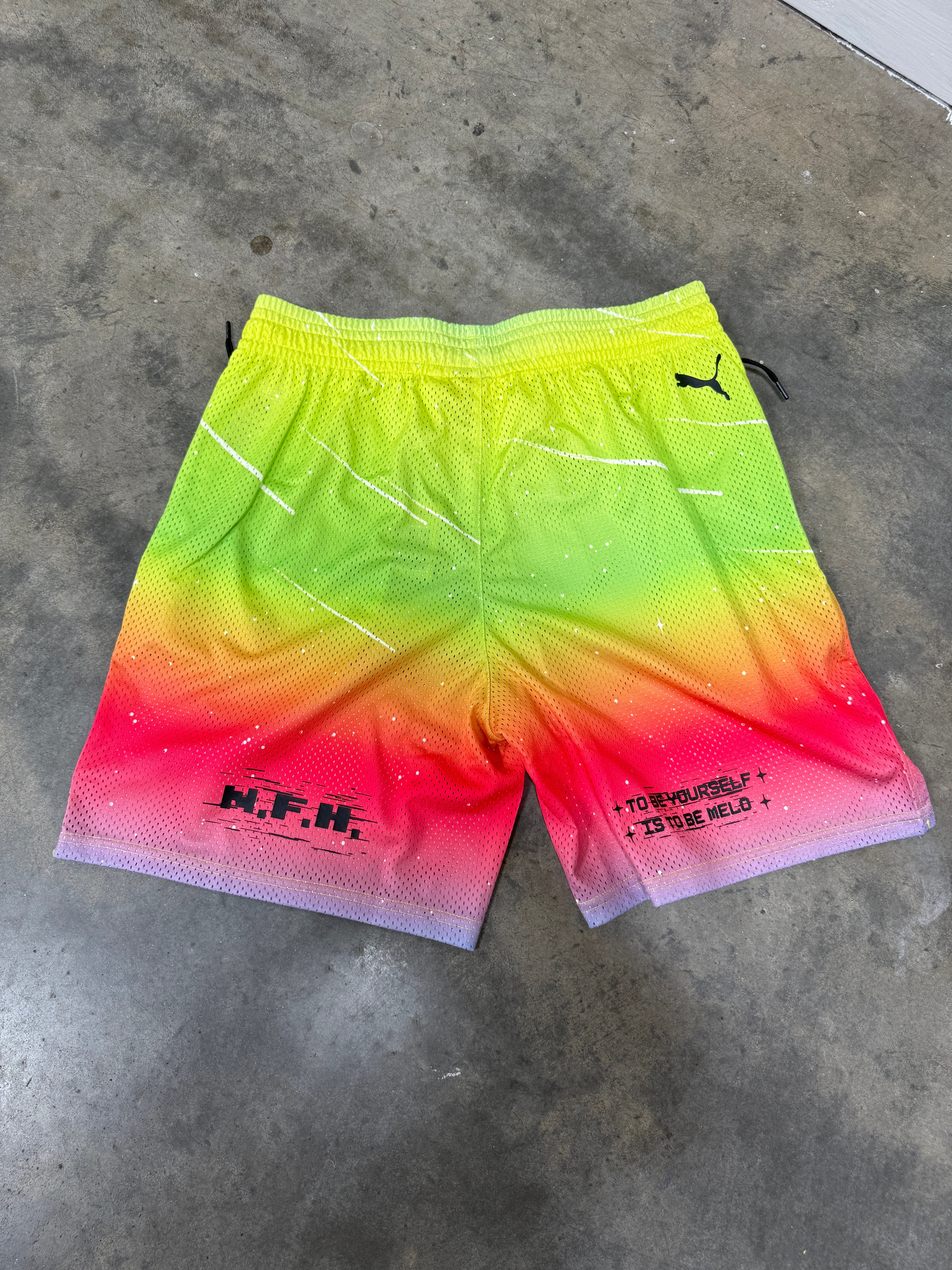 Puma Melo Rainbow Shorts Sz L