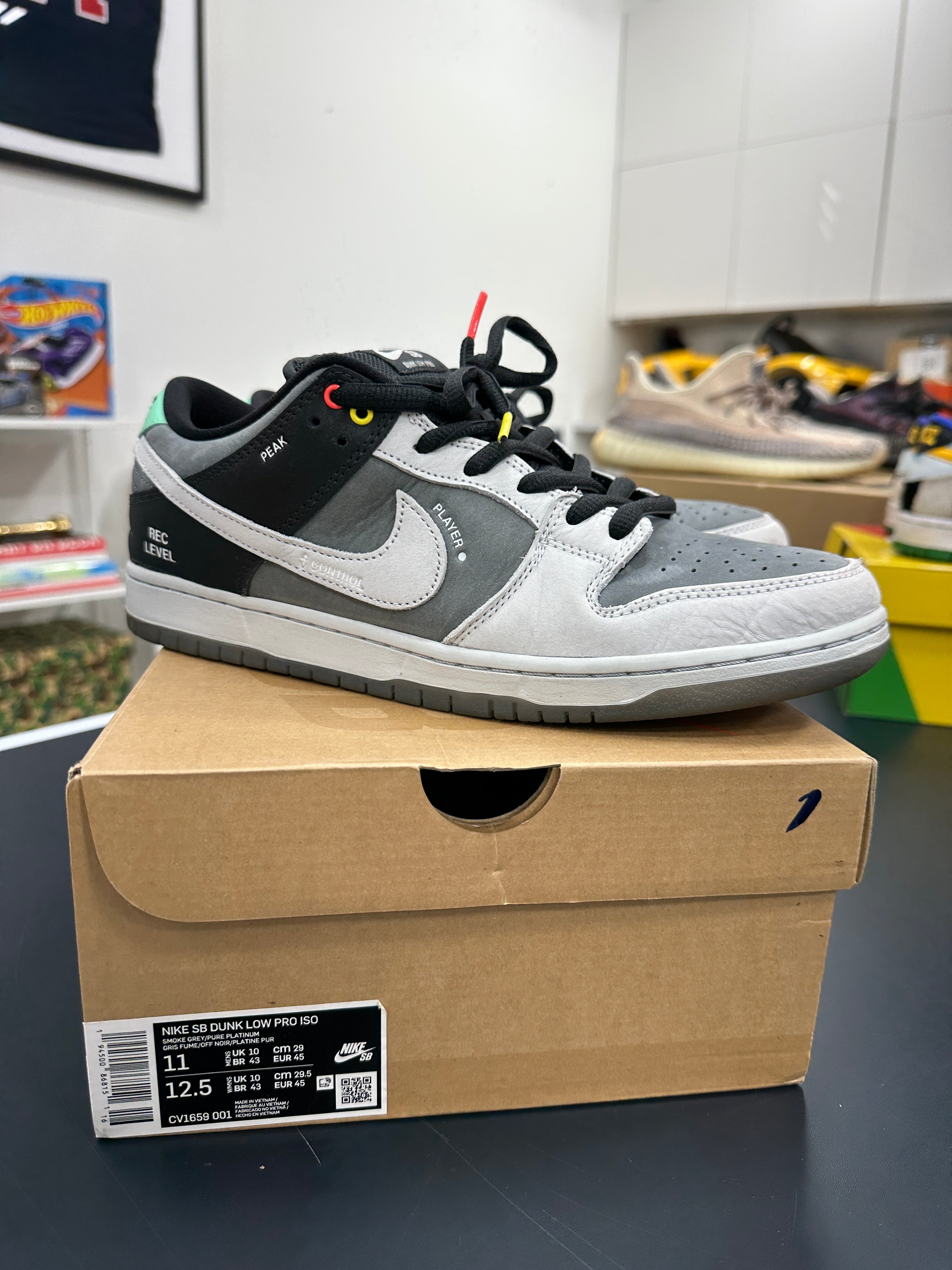 Nike SB Dunk Low Camcorder Sz 11