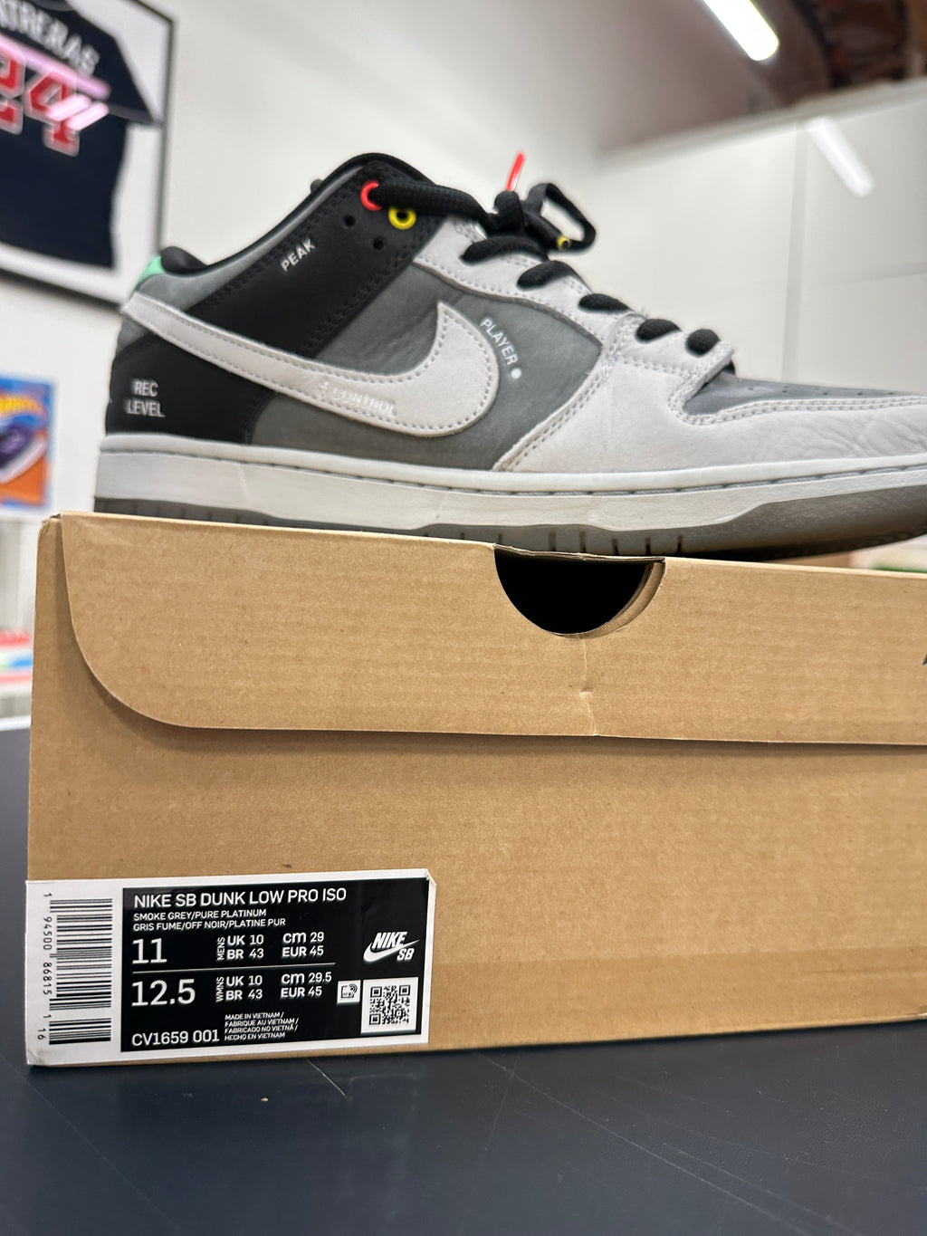 Nike SB Dunk Low Camcorder Sz 11