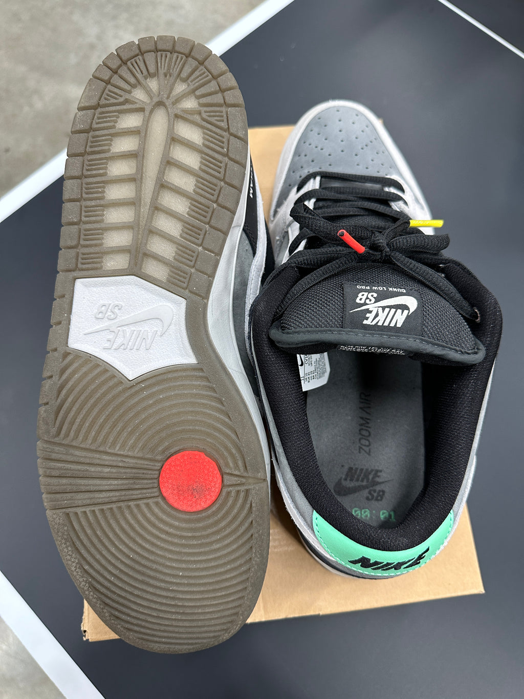 Nike SB Dunk Low Camcorder Sz 11