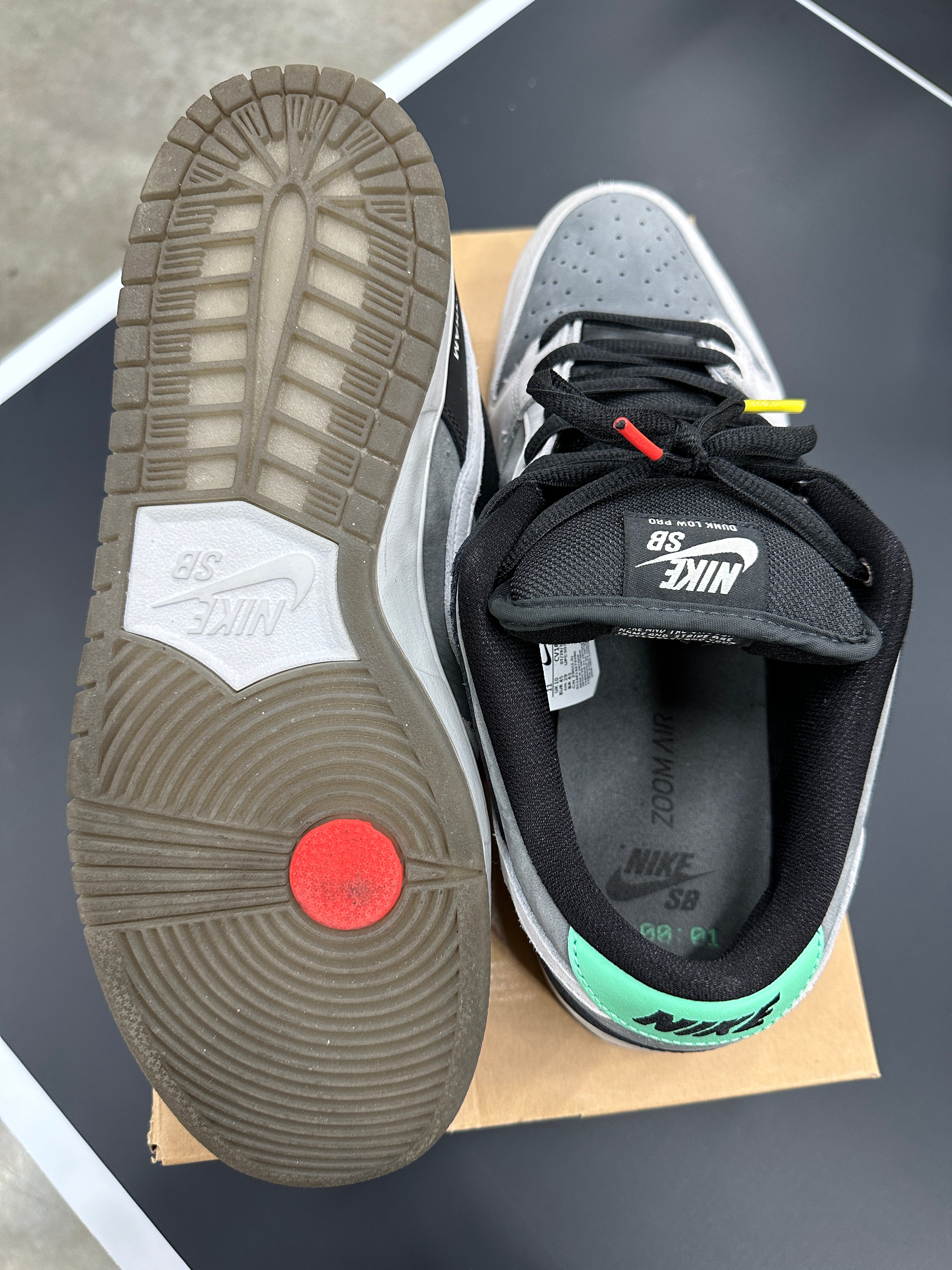 Nike SB Dunk Low Camcorder Sz 11