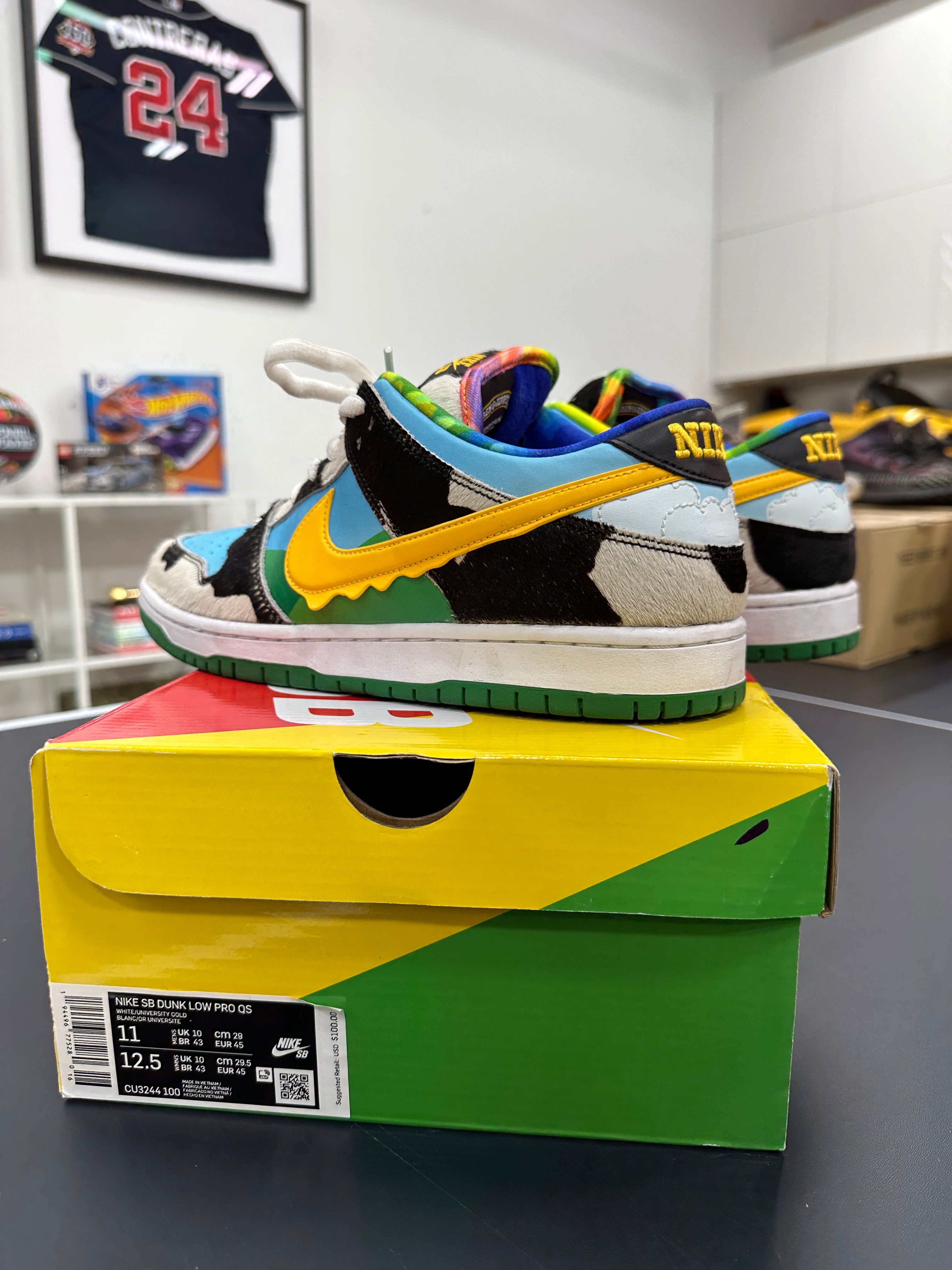 Nike SB Dunk Low Chunky Dunky Sz 11